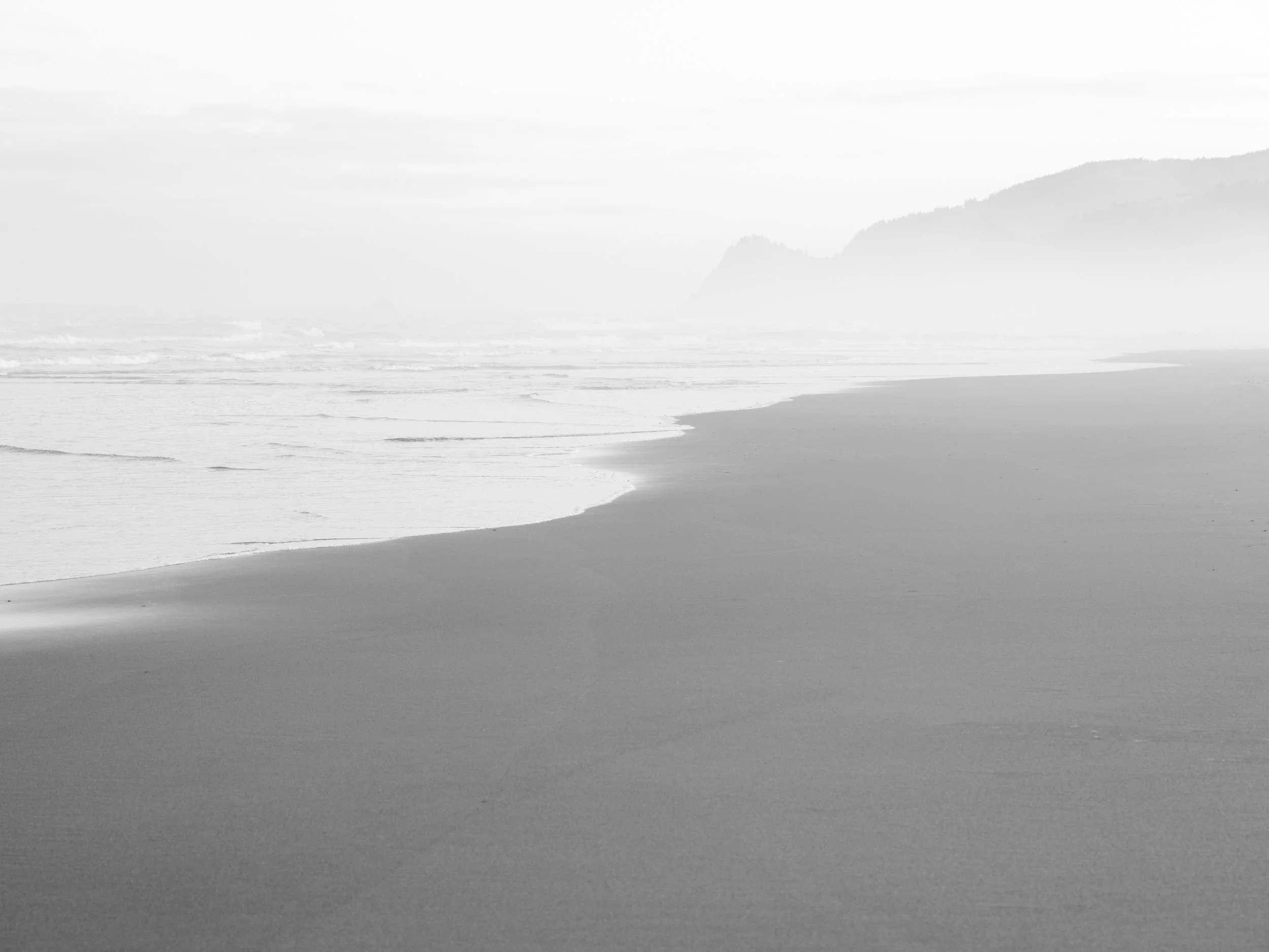 Morning Light, 2024
