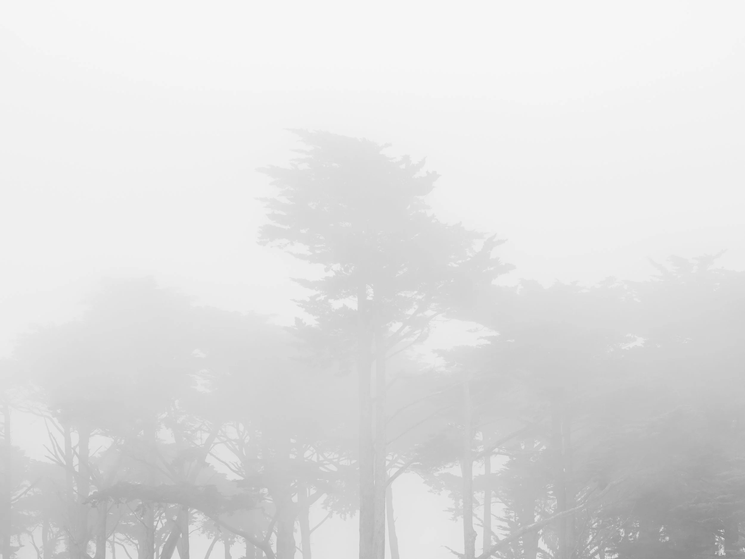Pacific