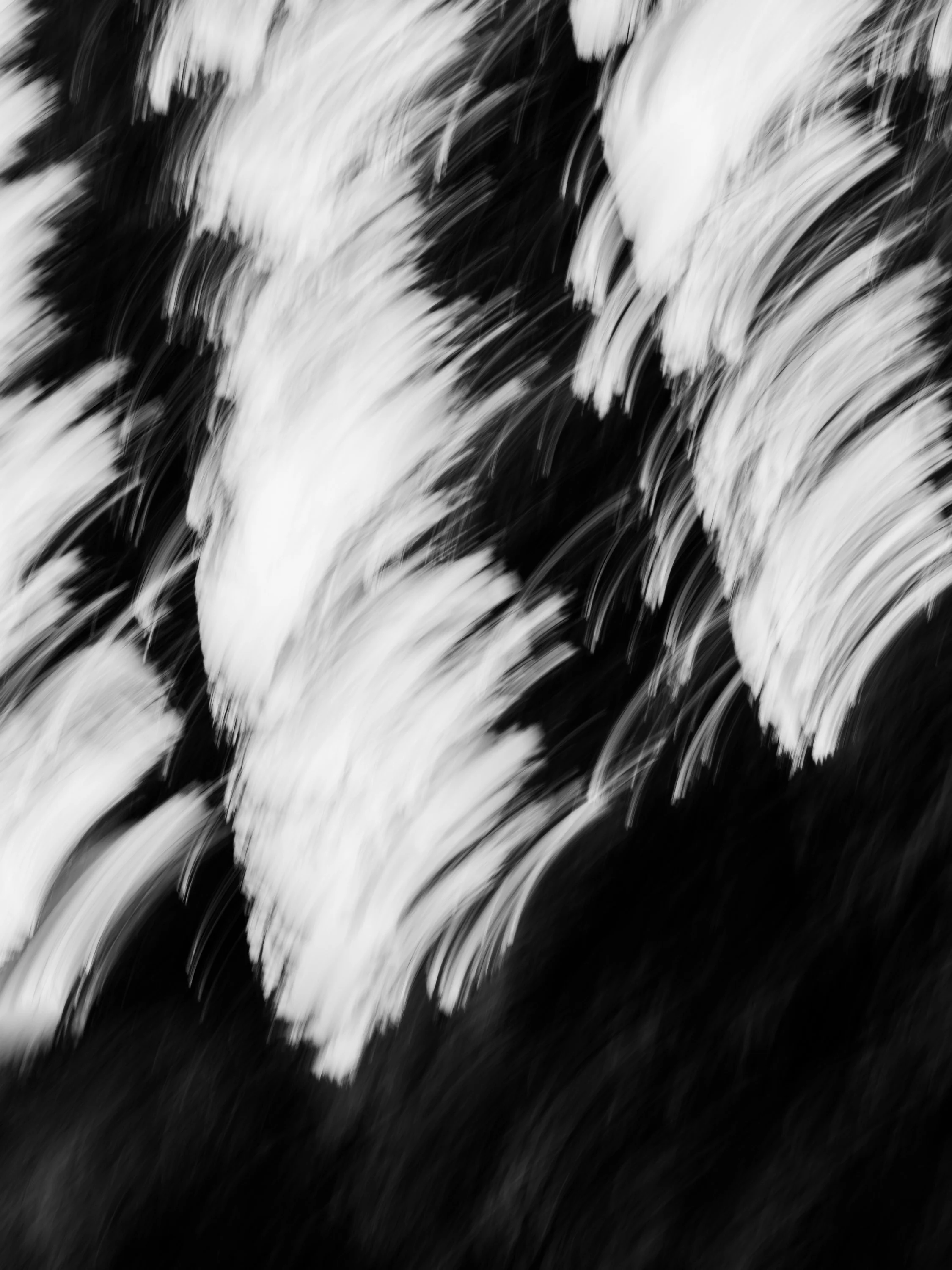 Dropout, 2026