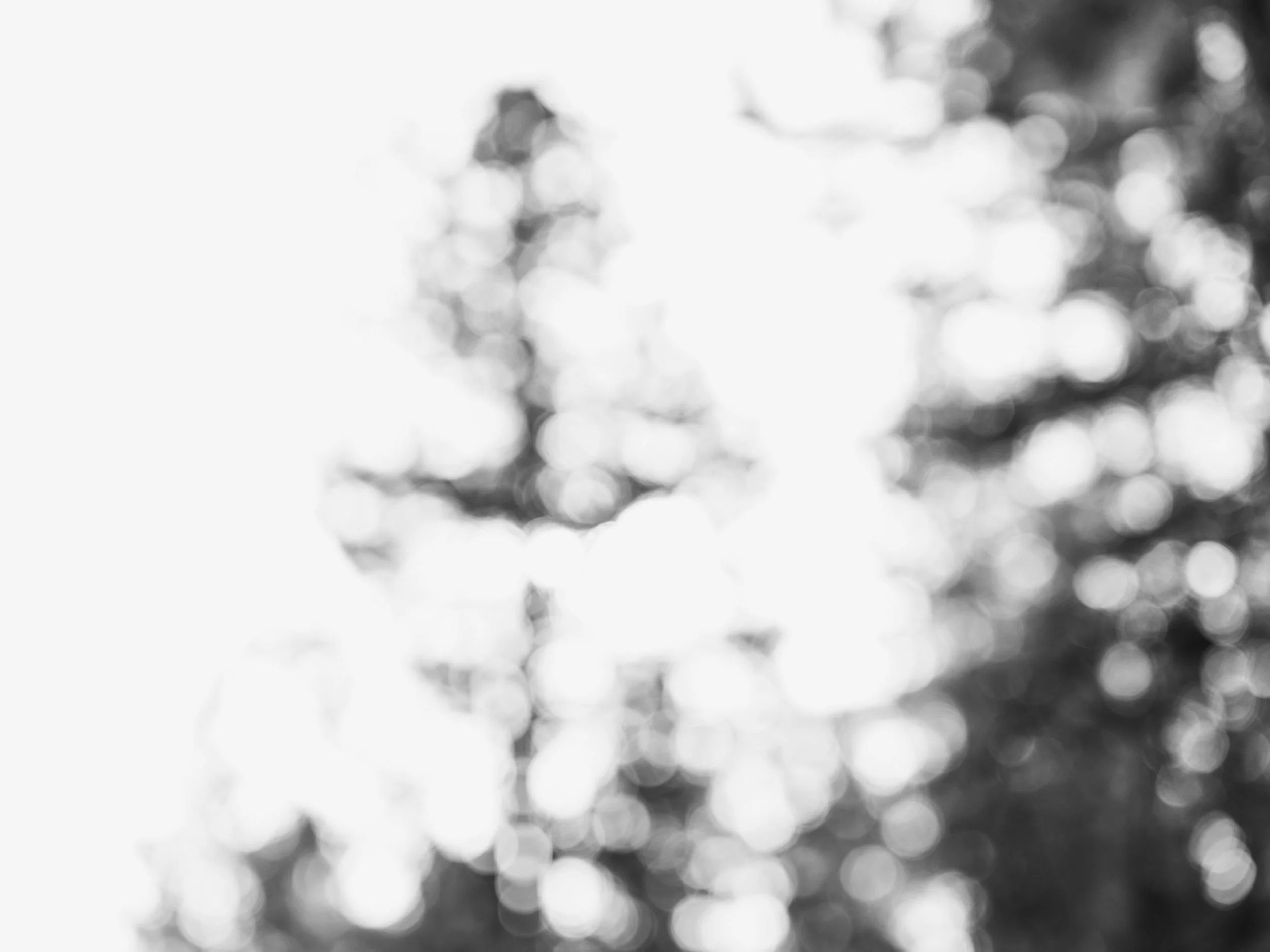 ZackFagin_Feel-5678-2.jpg
