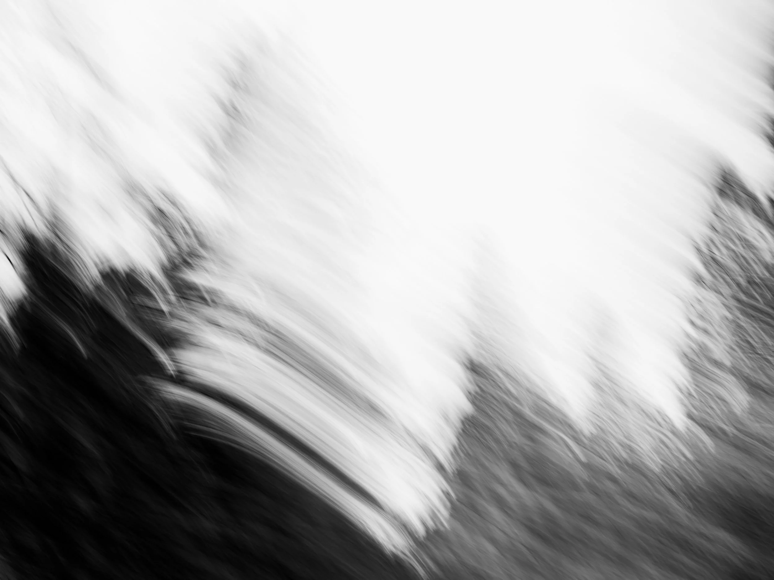 ZackFagin_LAND-0358.jpg