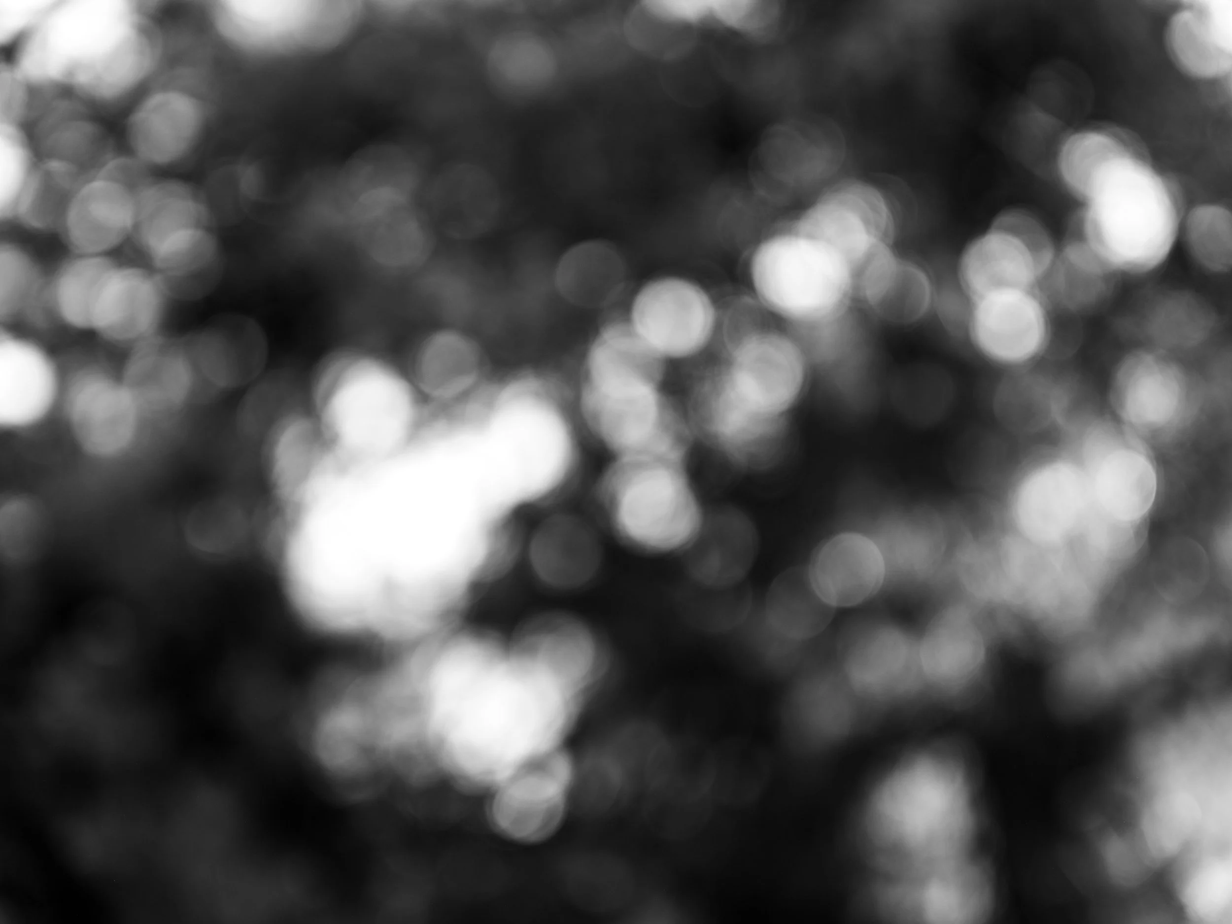 ZackFagin_Feel-6362.jpg