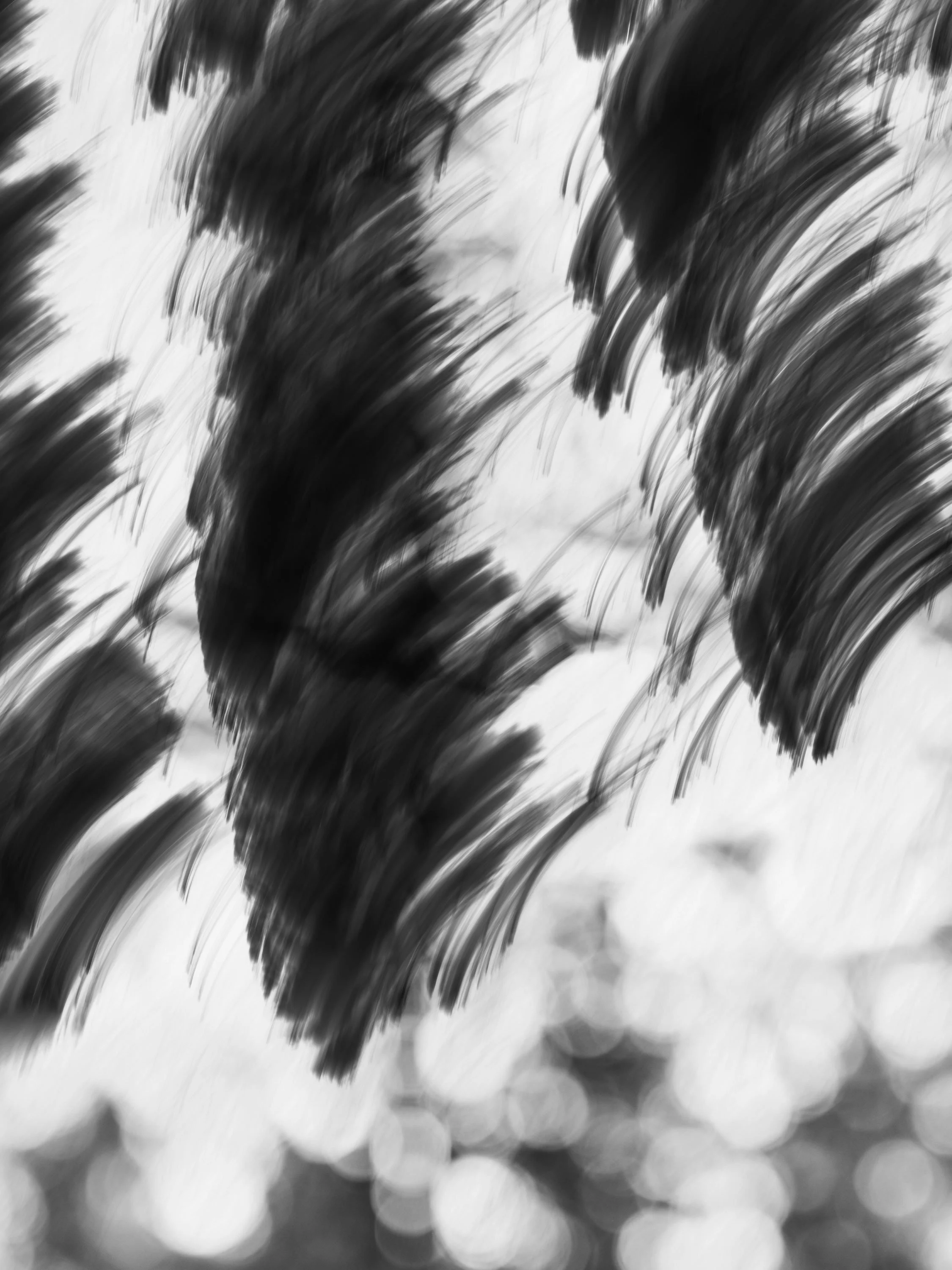 mixed_001.jpg
