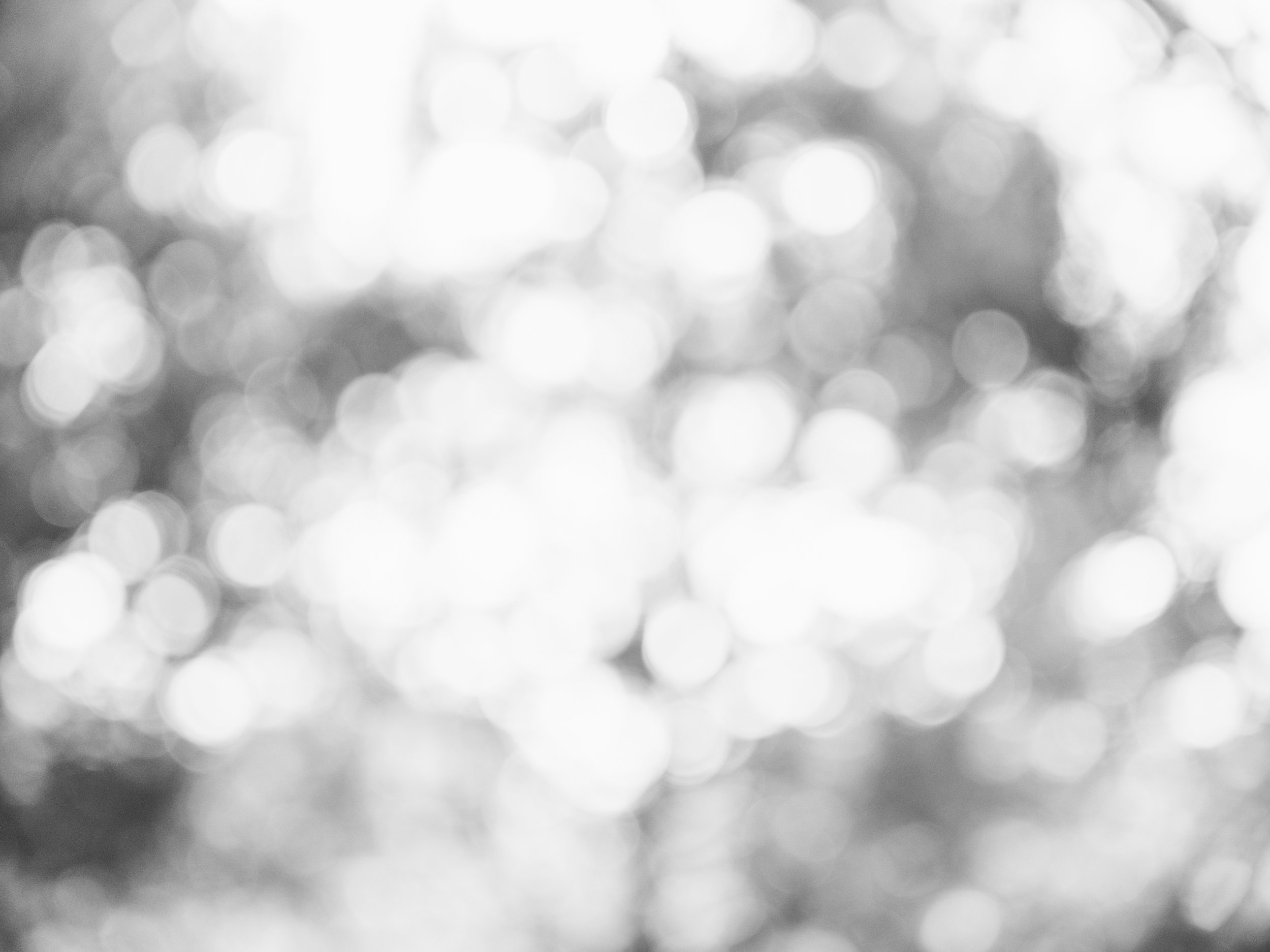 ZackFagin_Feel-8136.jpg