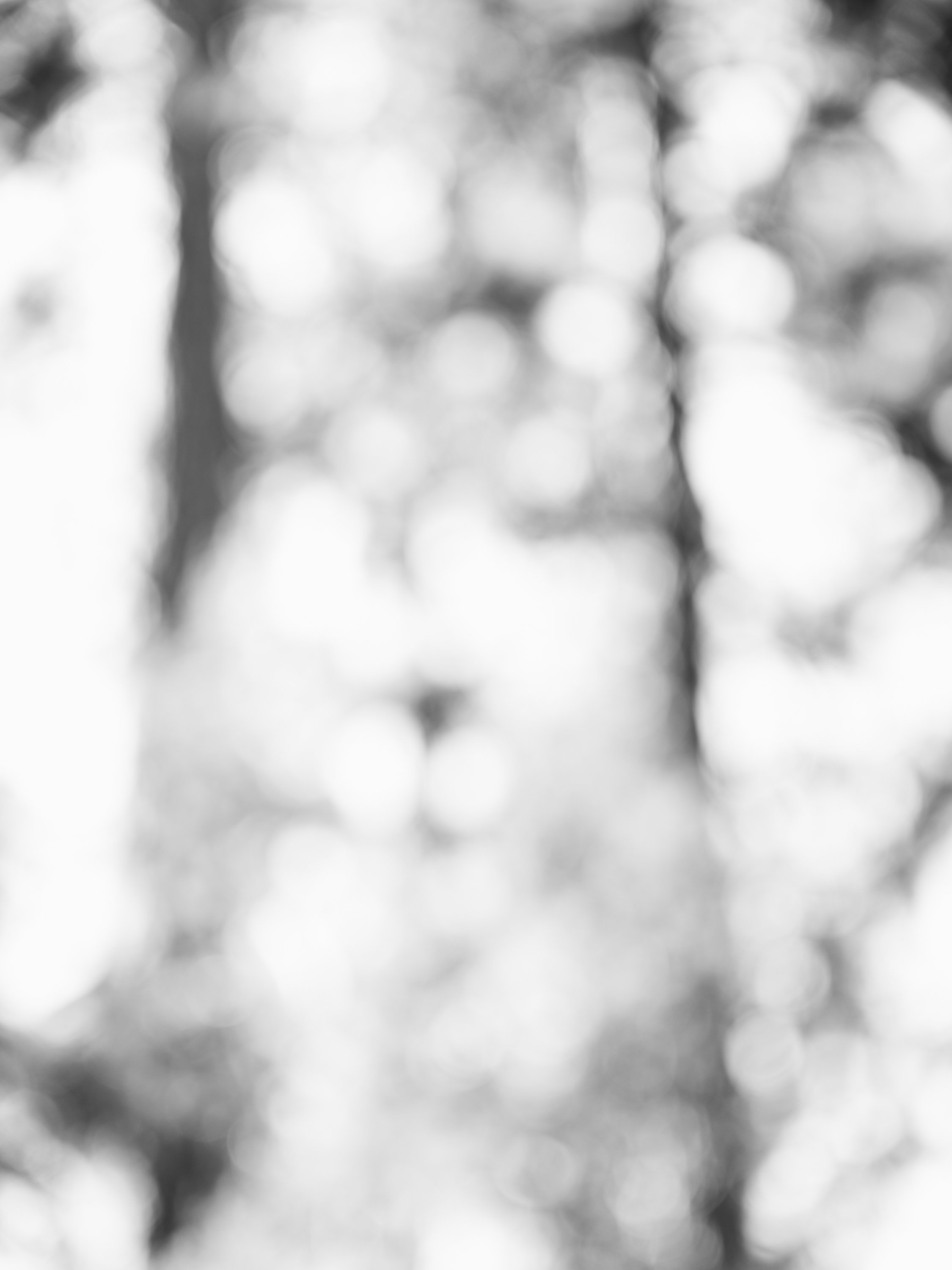 ZackFagin_FeelTouch-6345.jpg