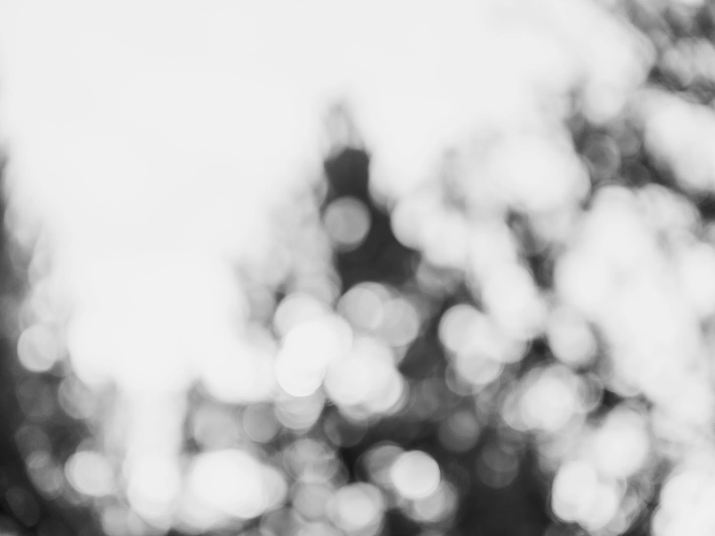 ZackFagin_Feel-8139.jpg