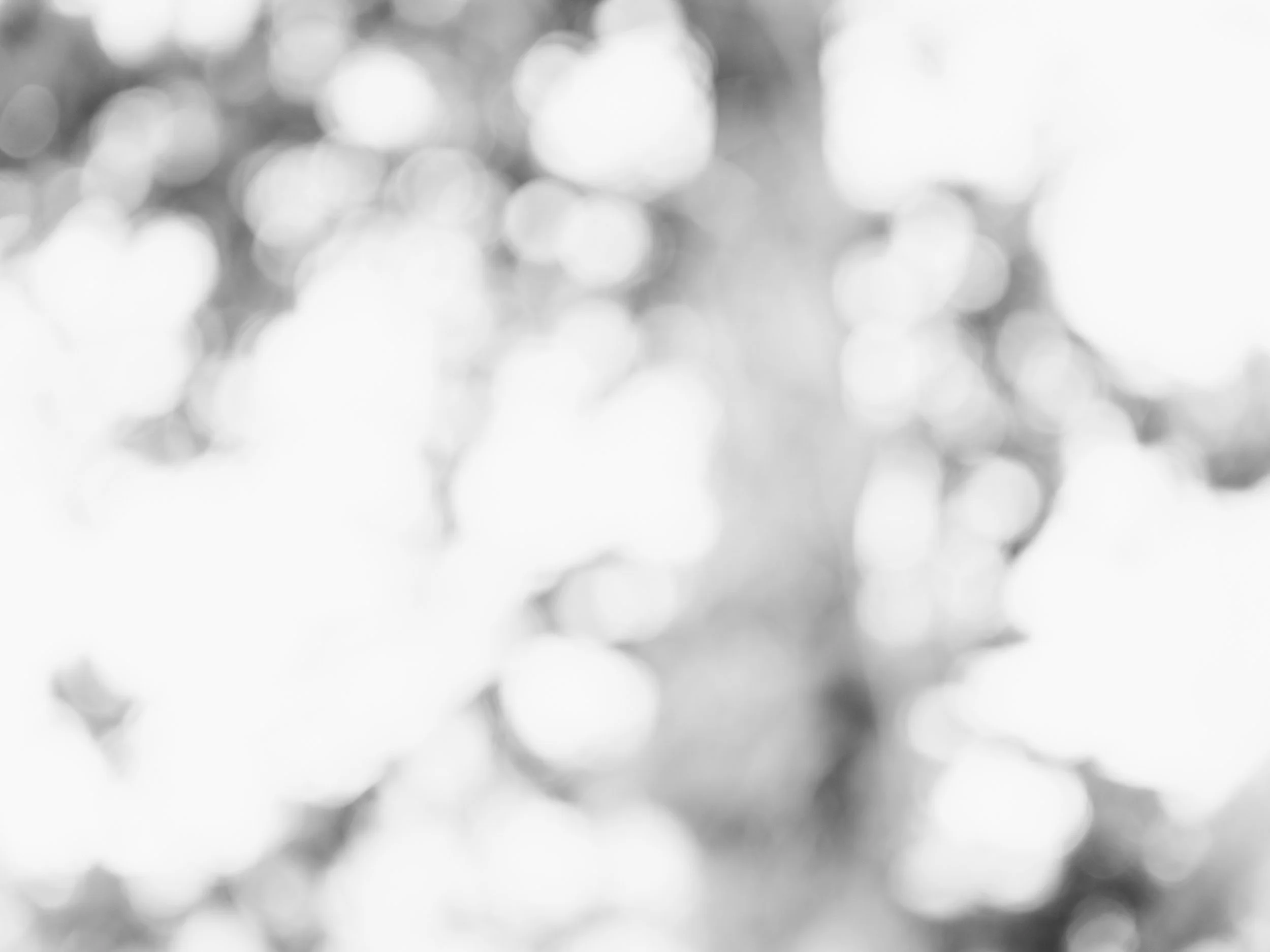 ZackFagin_FeelTouch-6379-2.jpg