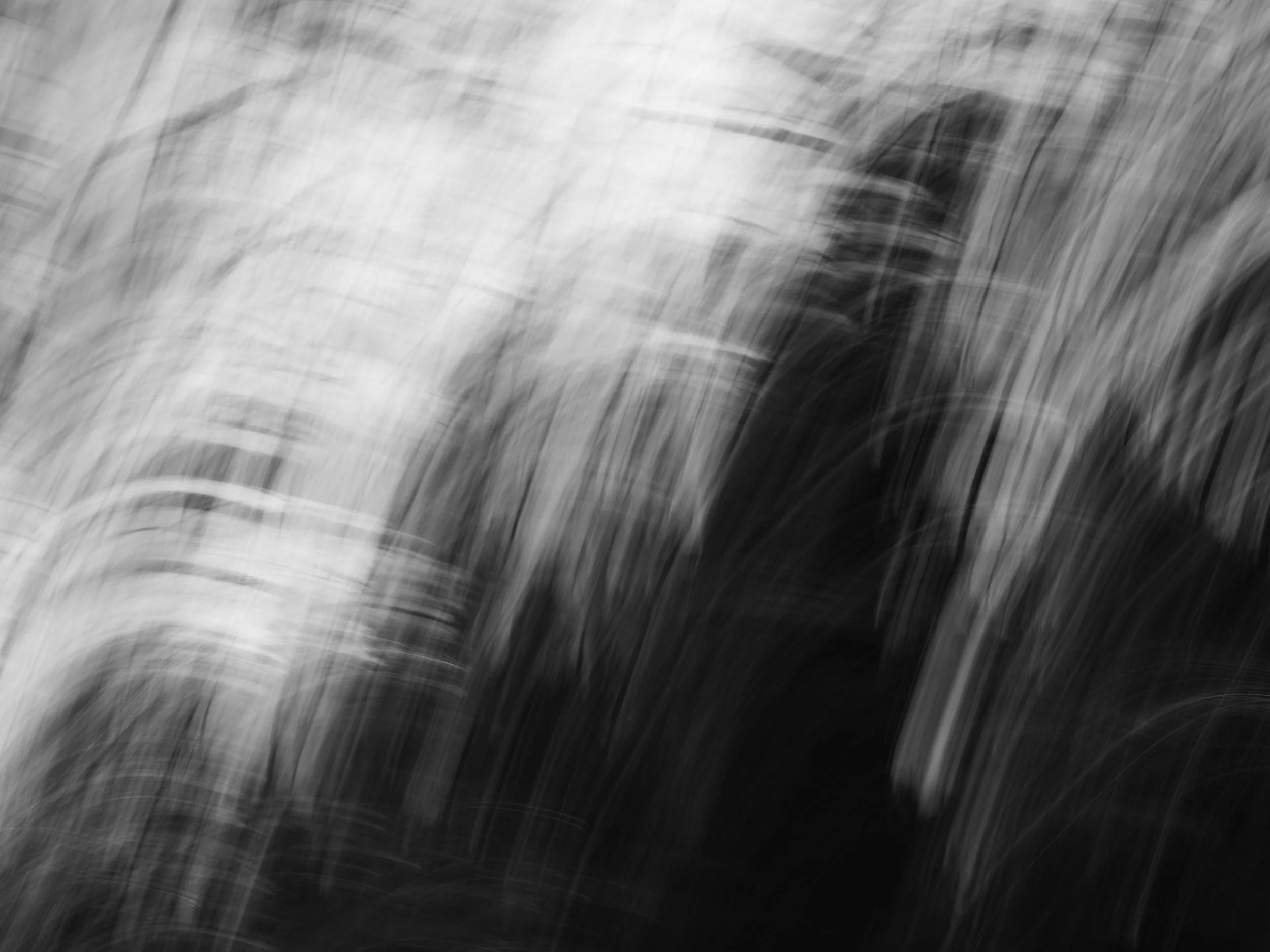 ZackFagin_CPA-13.jpg