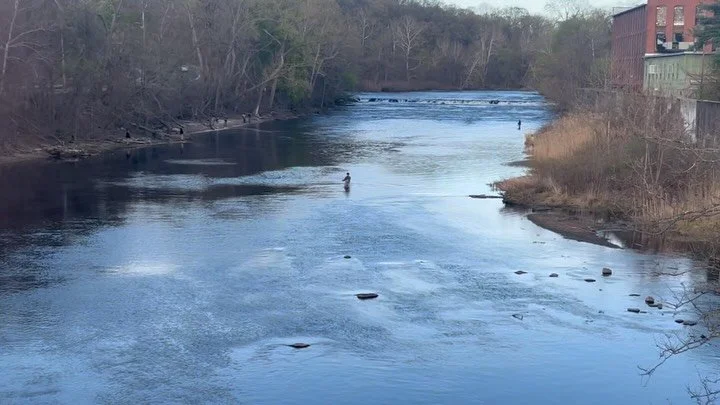 4-23-26 Chicopee River, Chicopee MA&nbsp;
First attempt at American Shad this season&hellip;I did not catch a thing&hellip;. Nor did any of the other dozen people there. Unbeknownst, a friend of mine was videoing me. I&rsquo;m in the top right corner