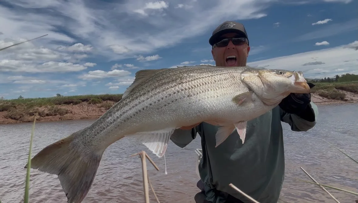 5-21-26 Stewiake River, Stewiake Nova Scotia Canada 🇨🇦
And then&hellip;finally&hellip;it all came together&hellip;
Up to my shins in mud, I finally landed a 40 inch striped bass this trip. Kev drove the boat over, @dazjackson01 netted it, and Robin