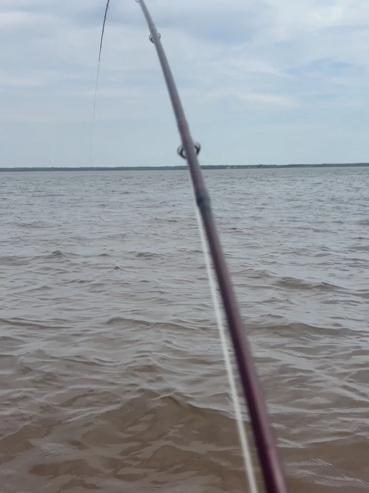 6-10-26 Alaska PEI 🇨🇦
2.5 mile walk each way&hellip; but the fish were at the South Shore en masse.
Beautiful weather and beautiful soft sandy shallow flats wading. 30 plus fish including a few over 30in. #flyfishing #Canada #PrinceEdwardIsland @NE