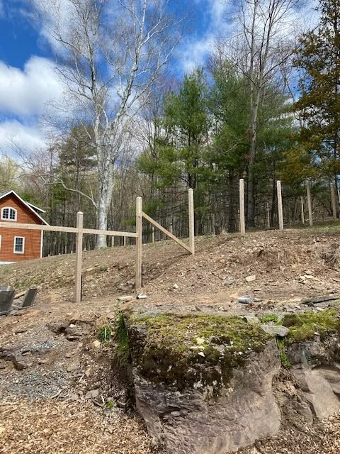 18-post and wire fencing with diagonal braces and 1"x1" black welded wire