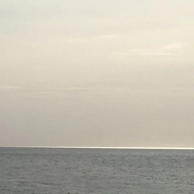   programa   várias texturas mediterrâneas, 1 água e o vento a caminhar 