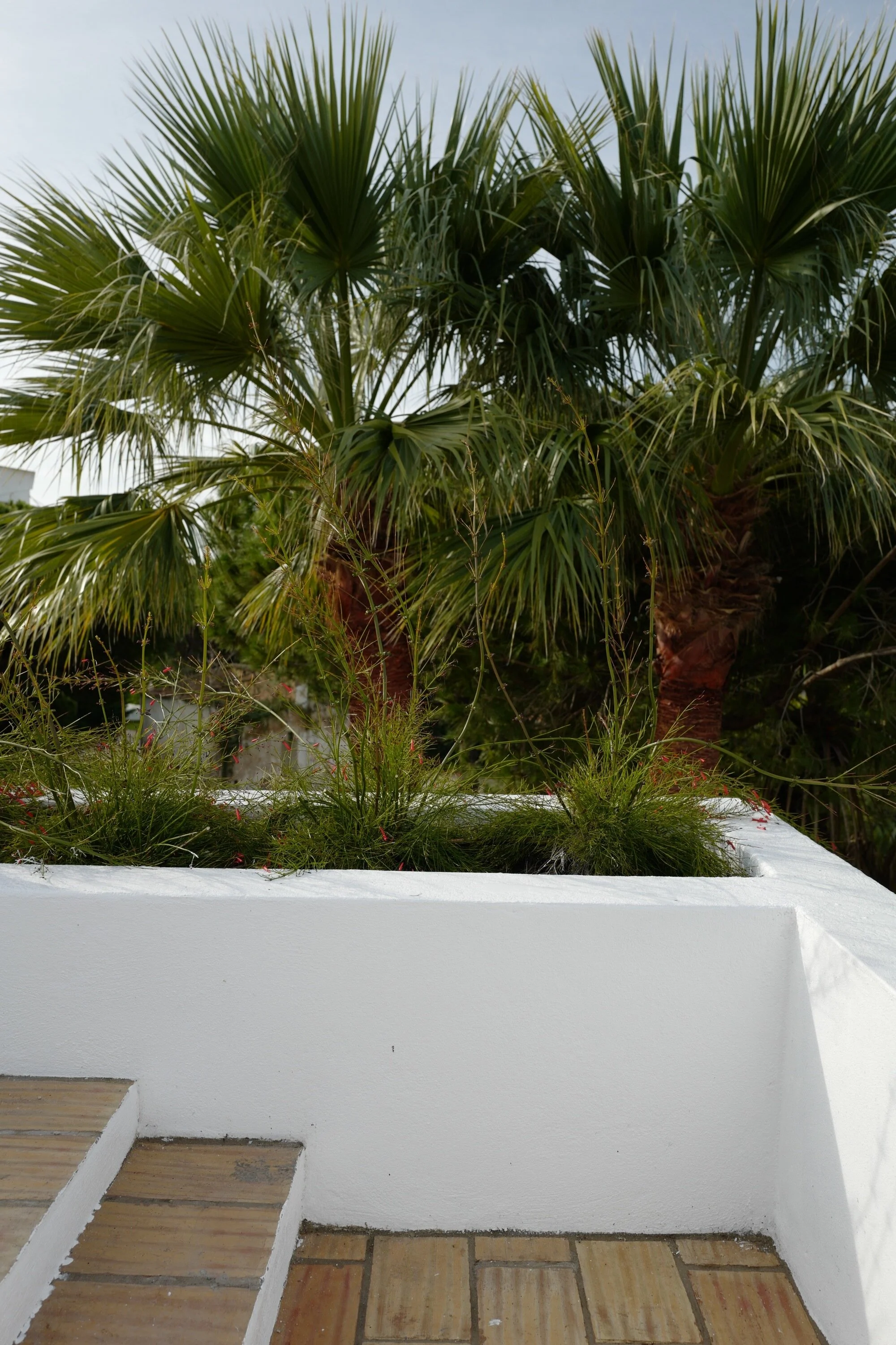  DUNAS DOURADAS / Regeneração do jardim  Local / Almancil  Data / 2015  Arqª Paisagista / Raquel Soares e Joana Sena Rego  Arquitectura e Coordenação / ColectivArquitectura   Fotografia / Raquel Soares; ColectivArquitectura   