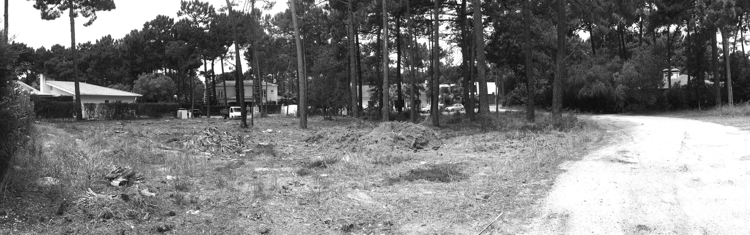 Panorama1.jpg