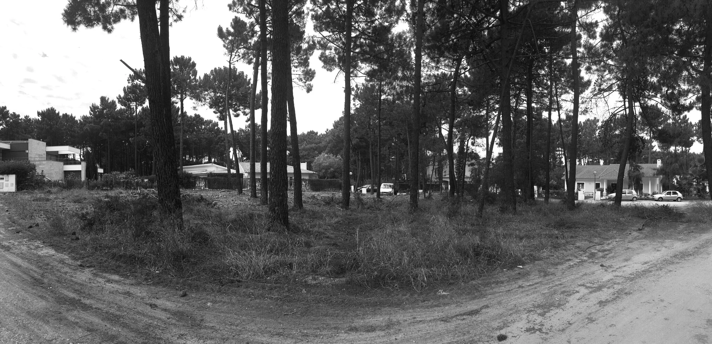   ponto de partida   Estrutura base - pinhal, solos arenosos, autóctone   Filtrar o exterior 