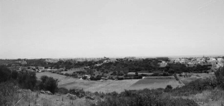 panoramic_07.jpg