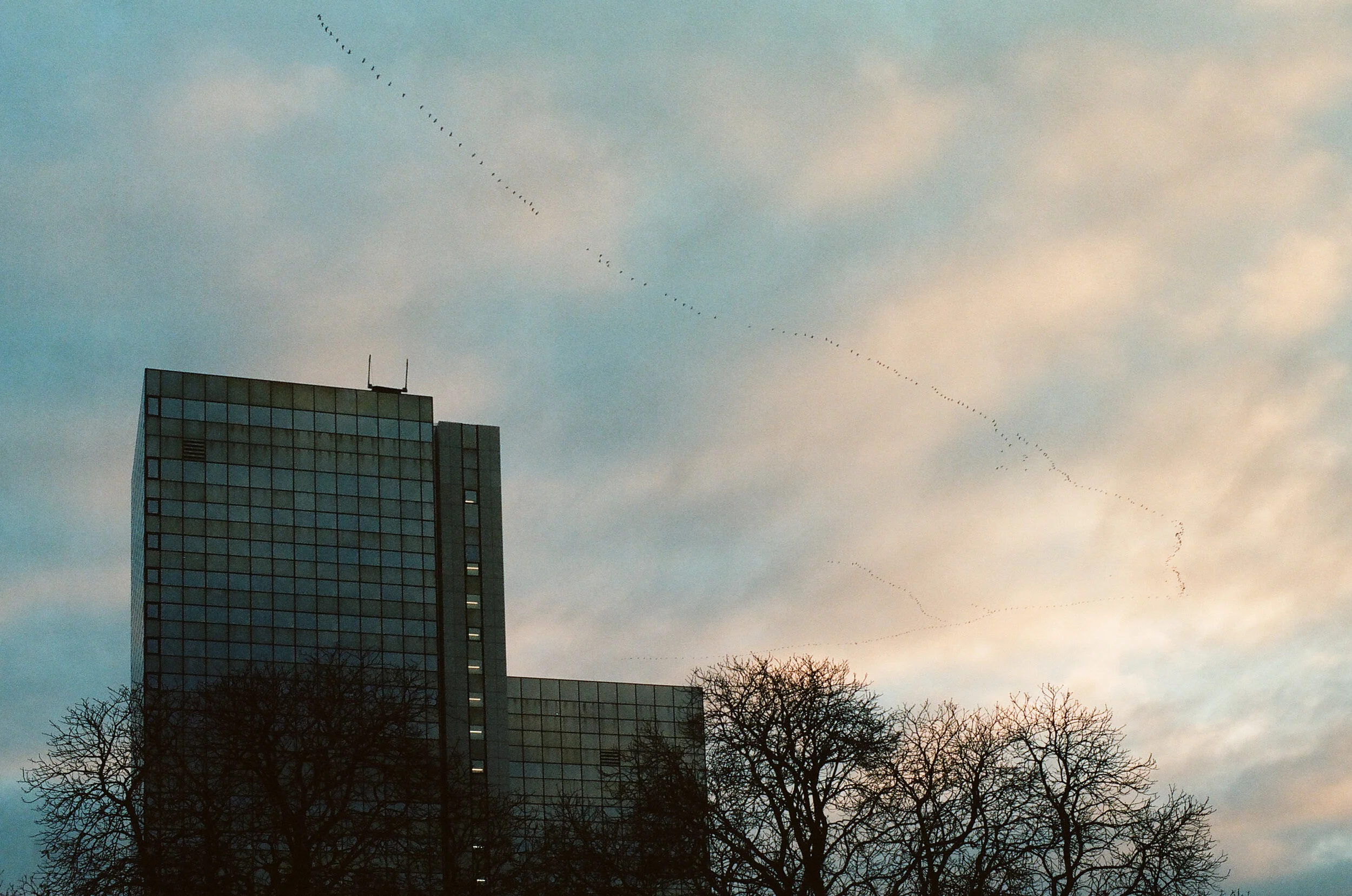 73310006.jpg