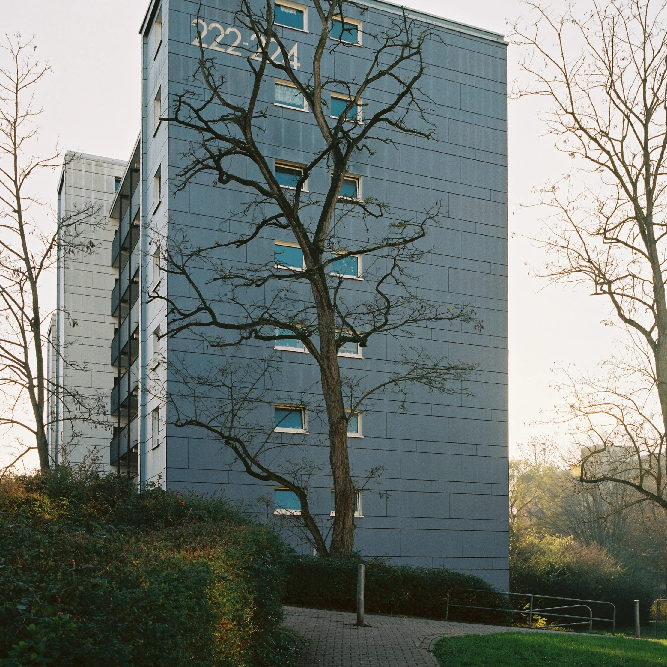 R1-02412-0006.jpg