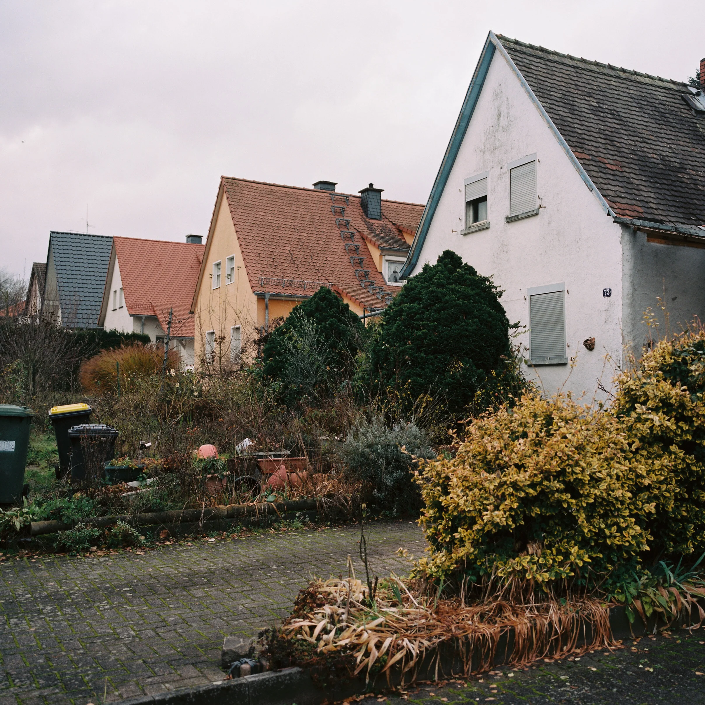 R1-02419-0001.jpg