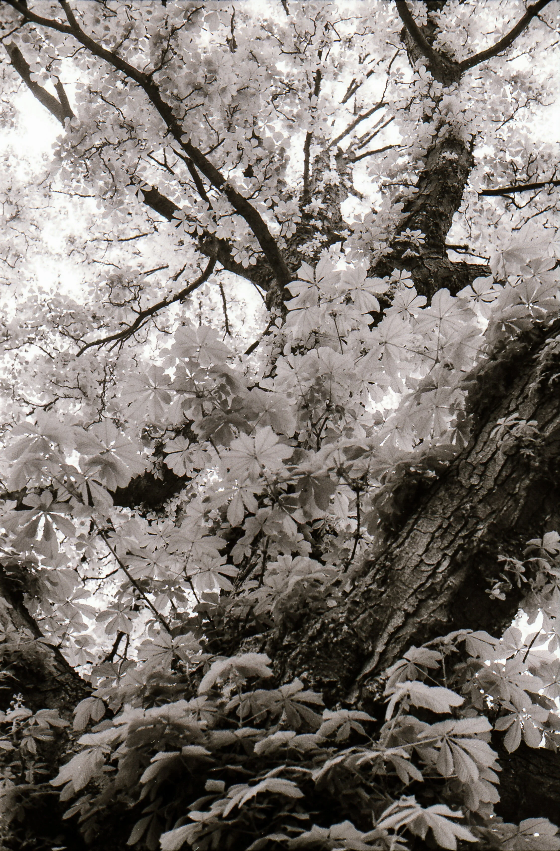 6b.jpg