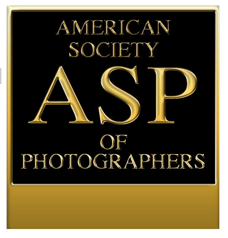 ASP Logo.png