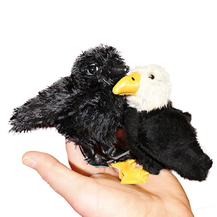 Crow-Eagle_720.jpg