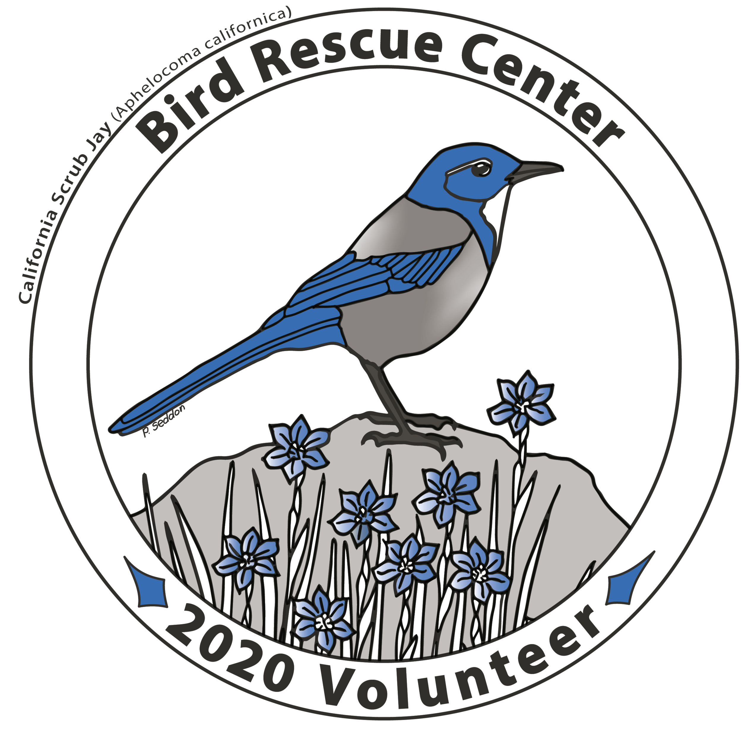 2020 Volunteer T-Shirt
