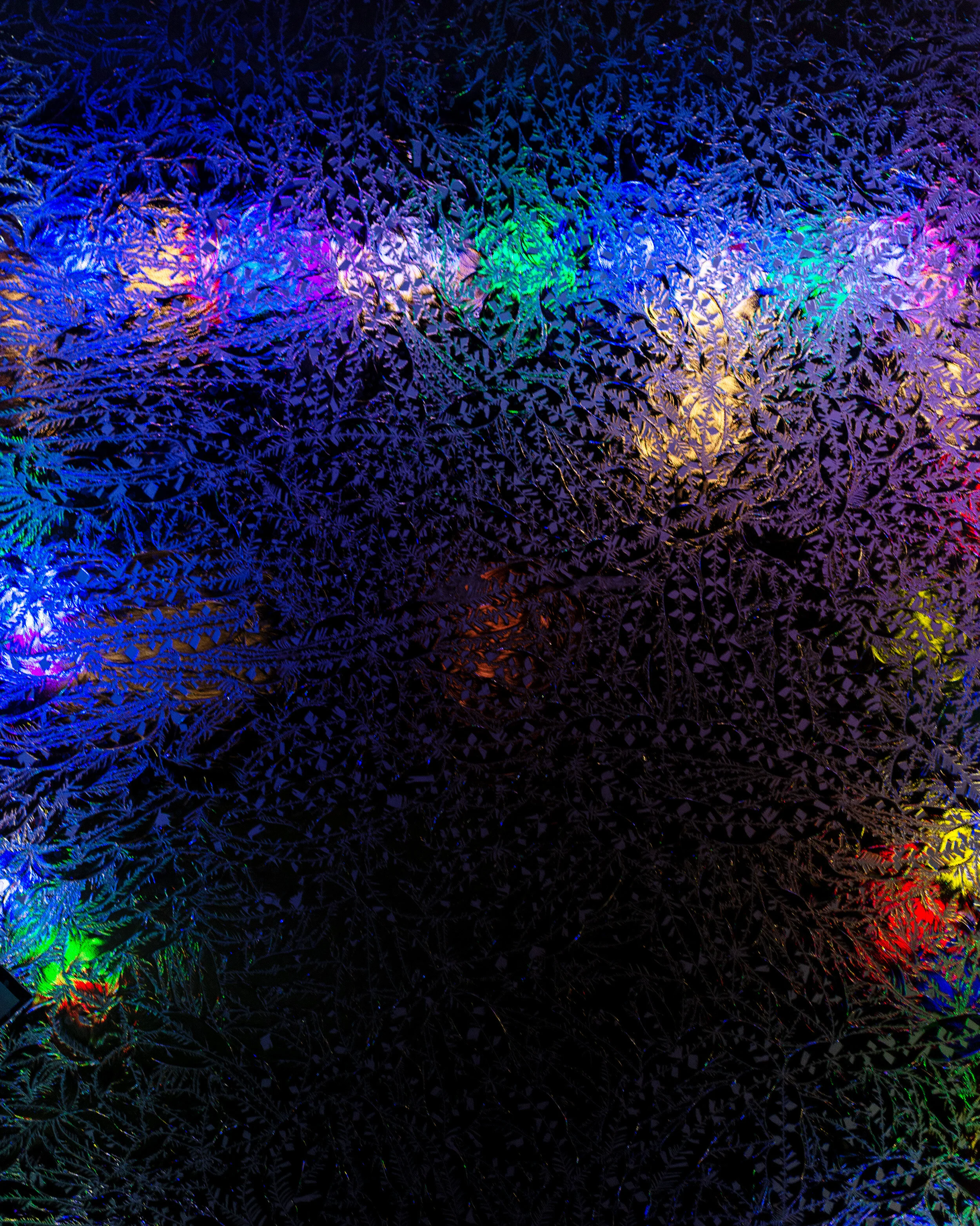 14-DSC_8891 copy.jpg