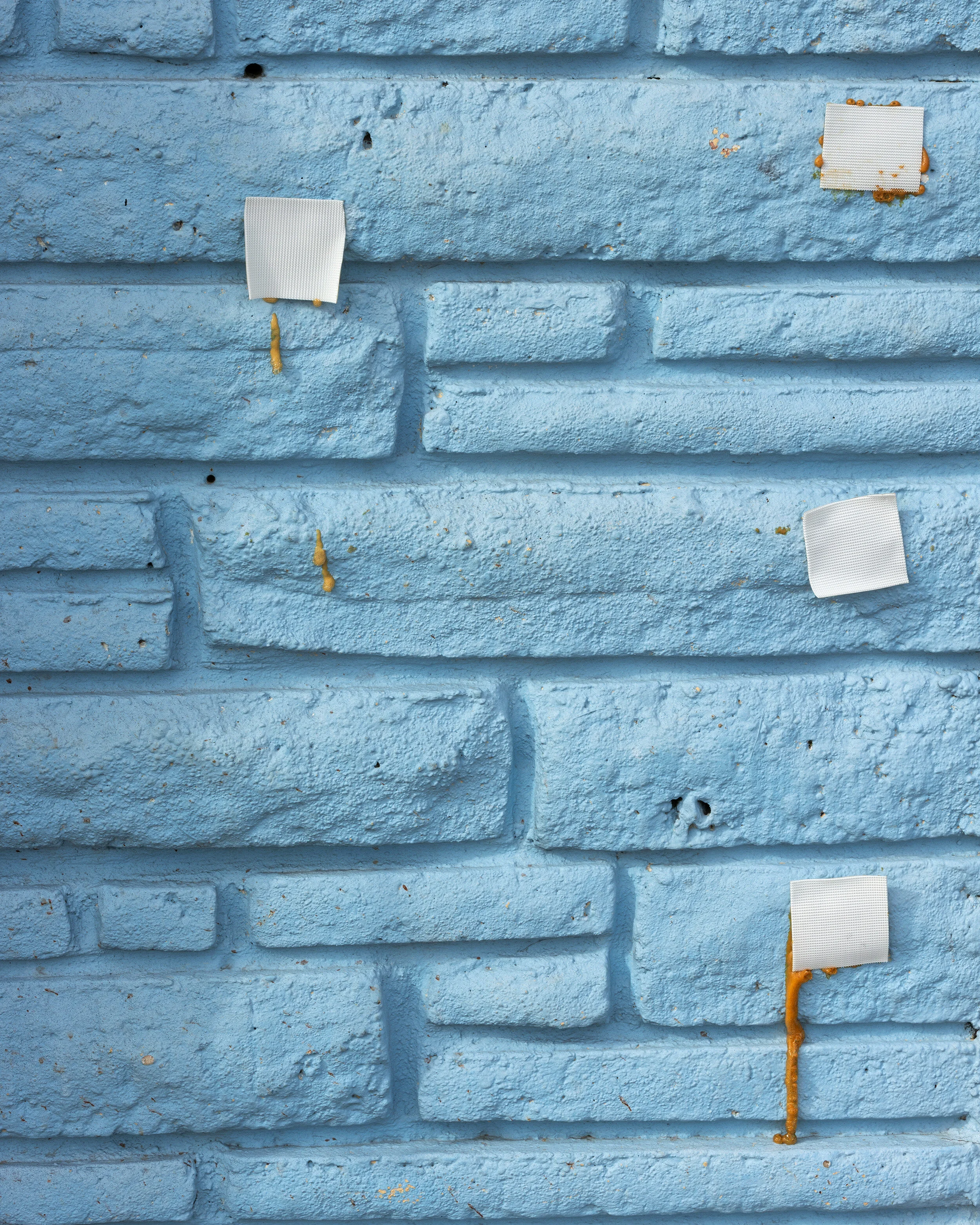 2-cropped-DSC_0340 copy.jpg