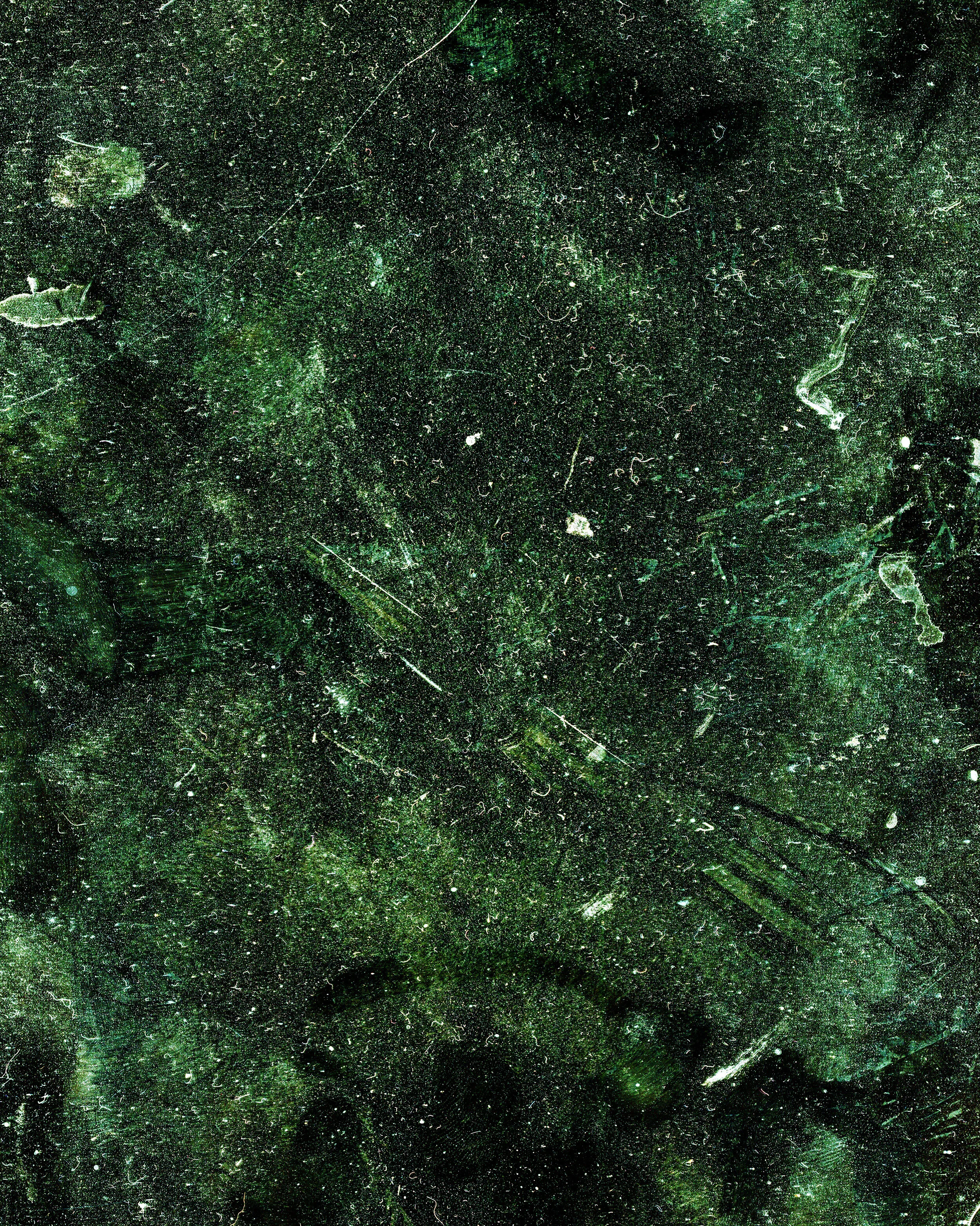 4-cropped-Project Week 1027 copy.jpg