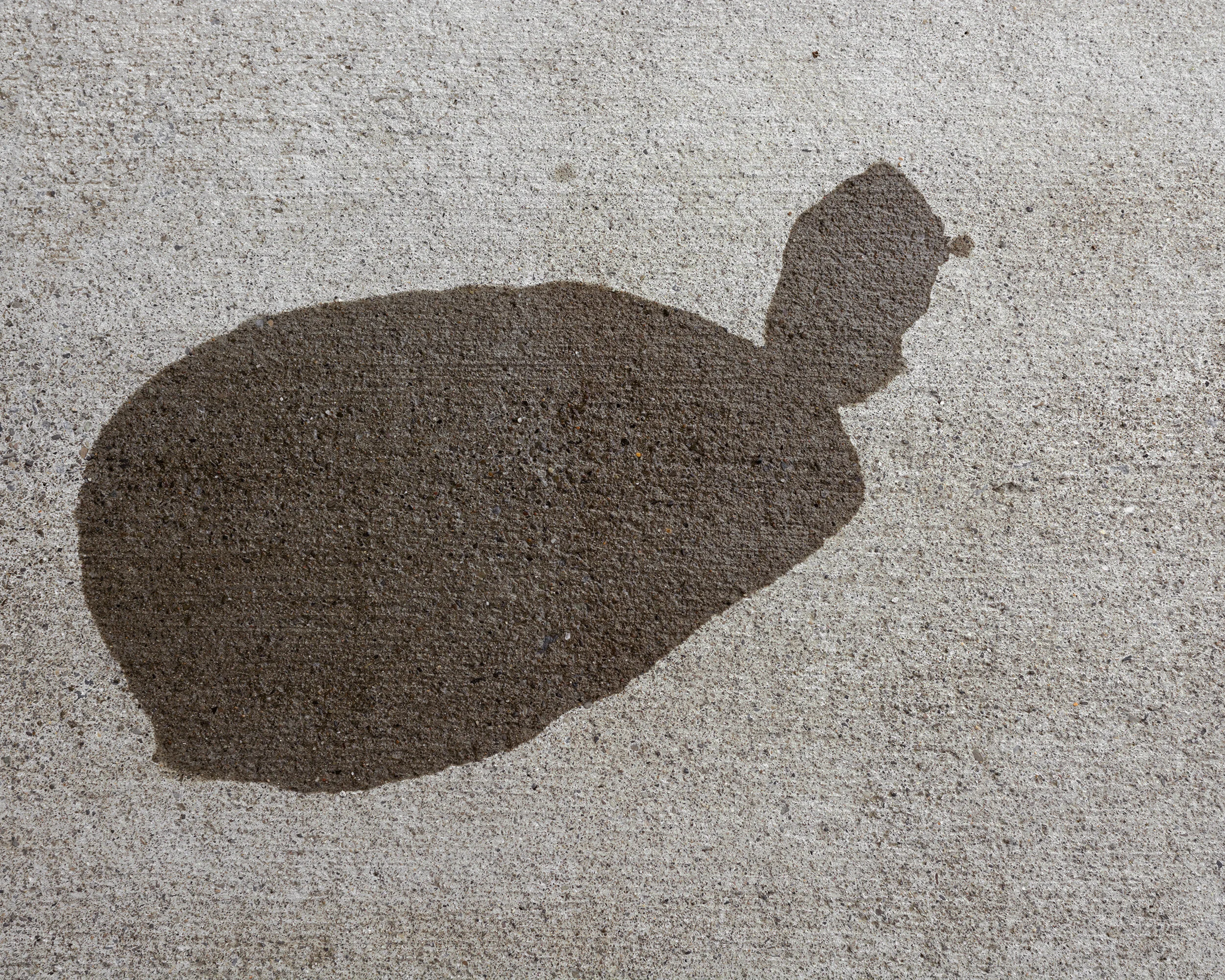 5-cropped-DSC_0034 copy.jpg