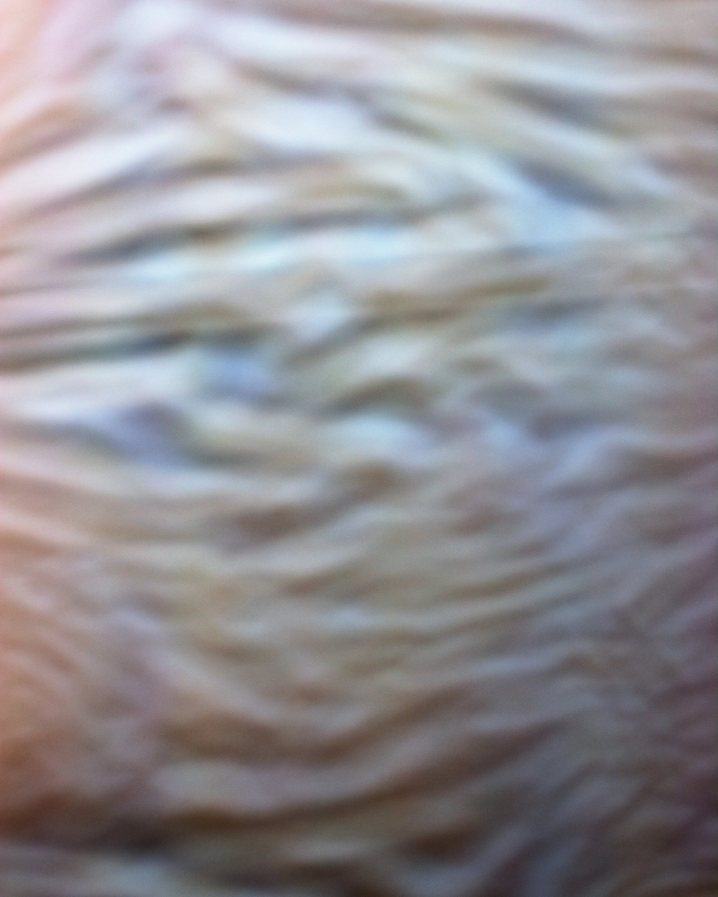 7-cropped-DSC_0048 copy.jpg