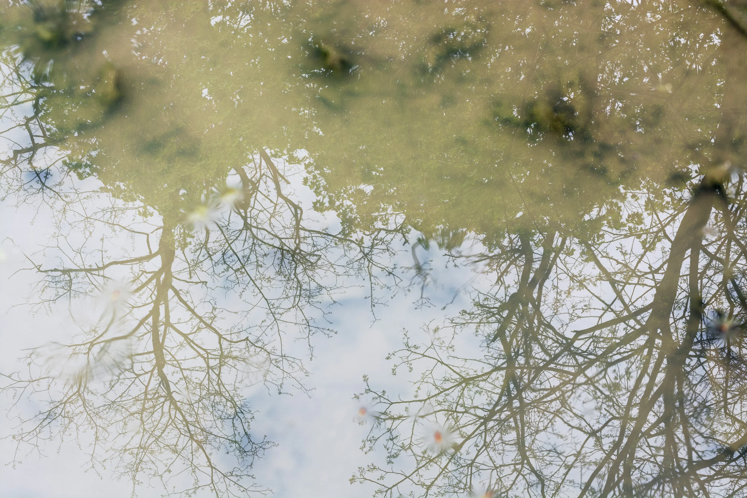 10-not cropped-DSC_0012 copy 3.jpg