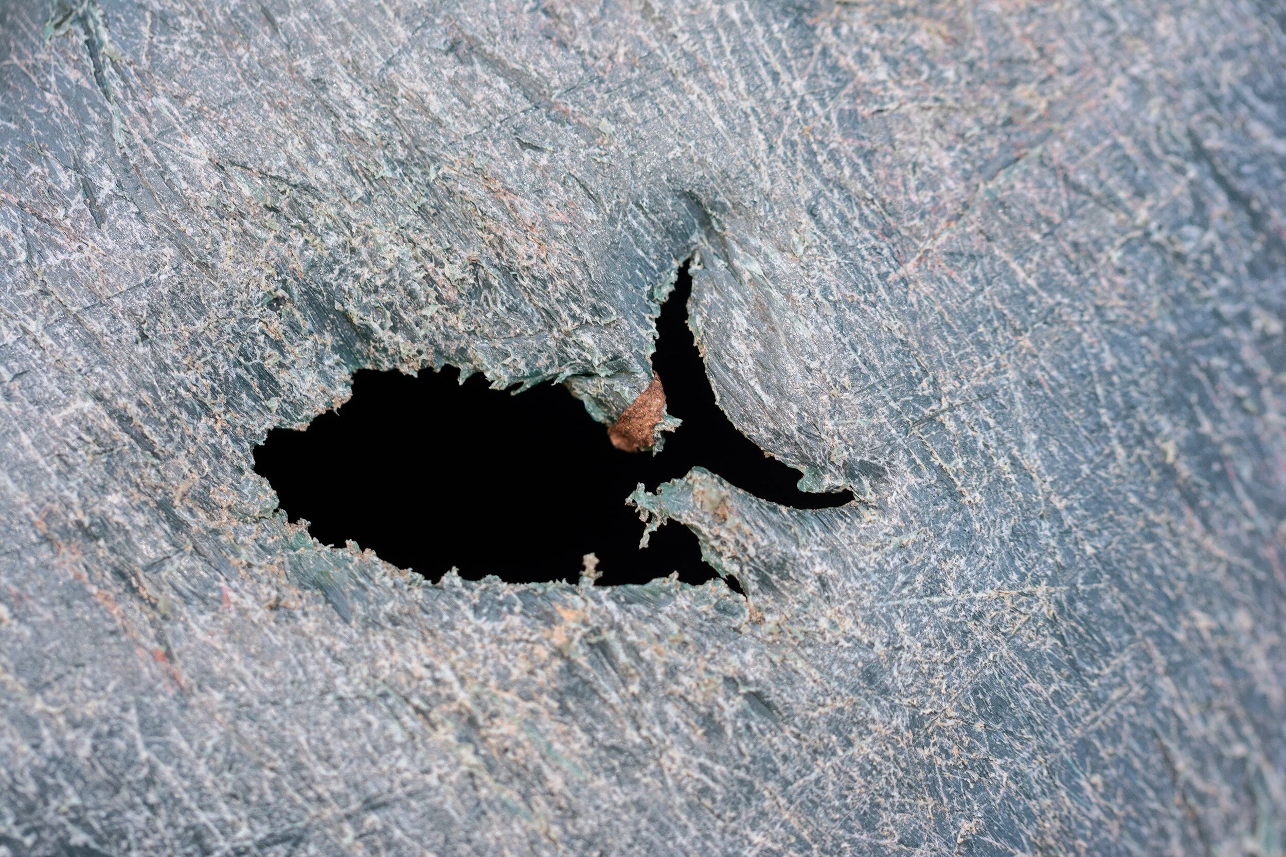 3-not cropped-DSC_0074 copy.jpg