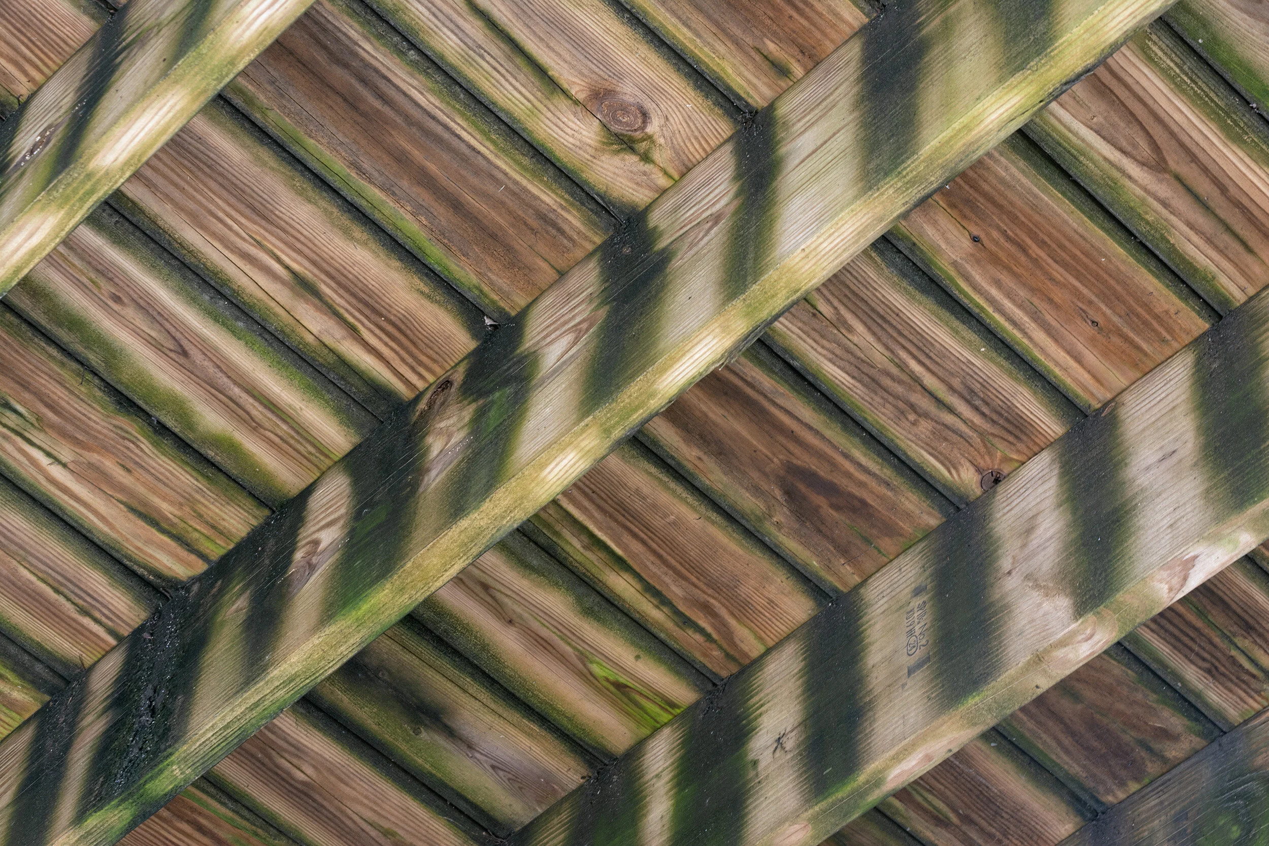 4-not cropped-DSC_0126 copy.jpg