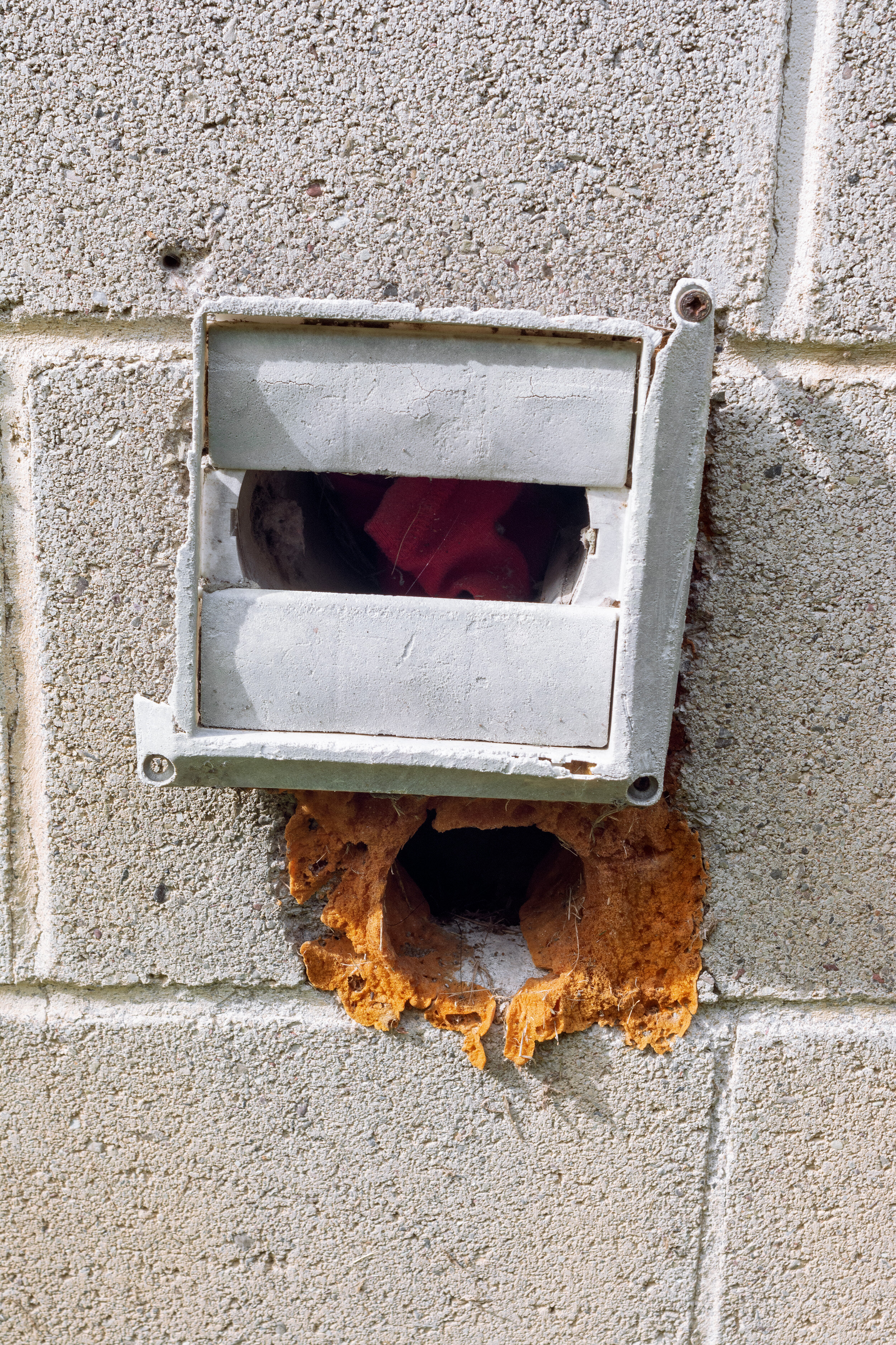 6-not cropped-1 copy.jpg