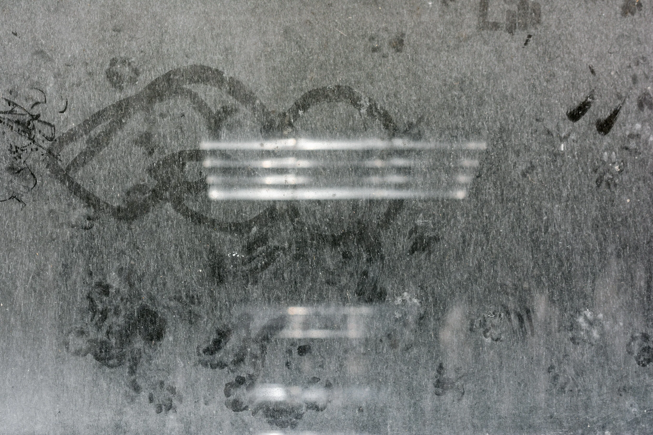 10-not cropped-DSC_0281 copy.jpg