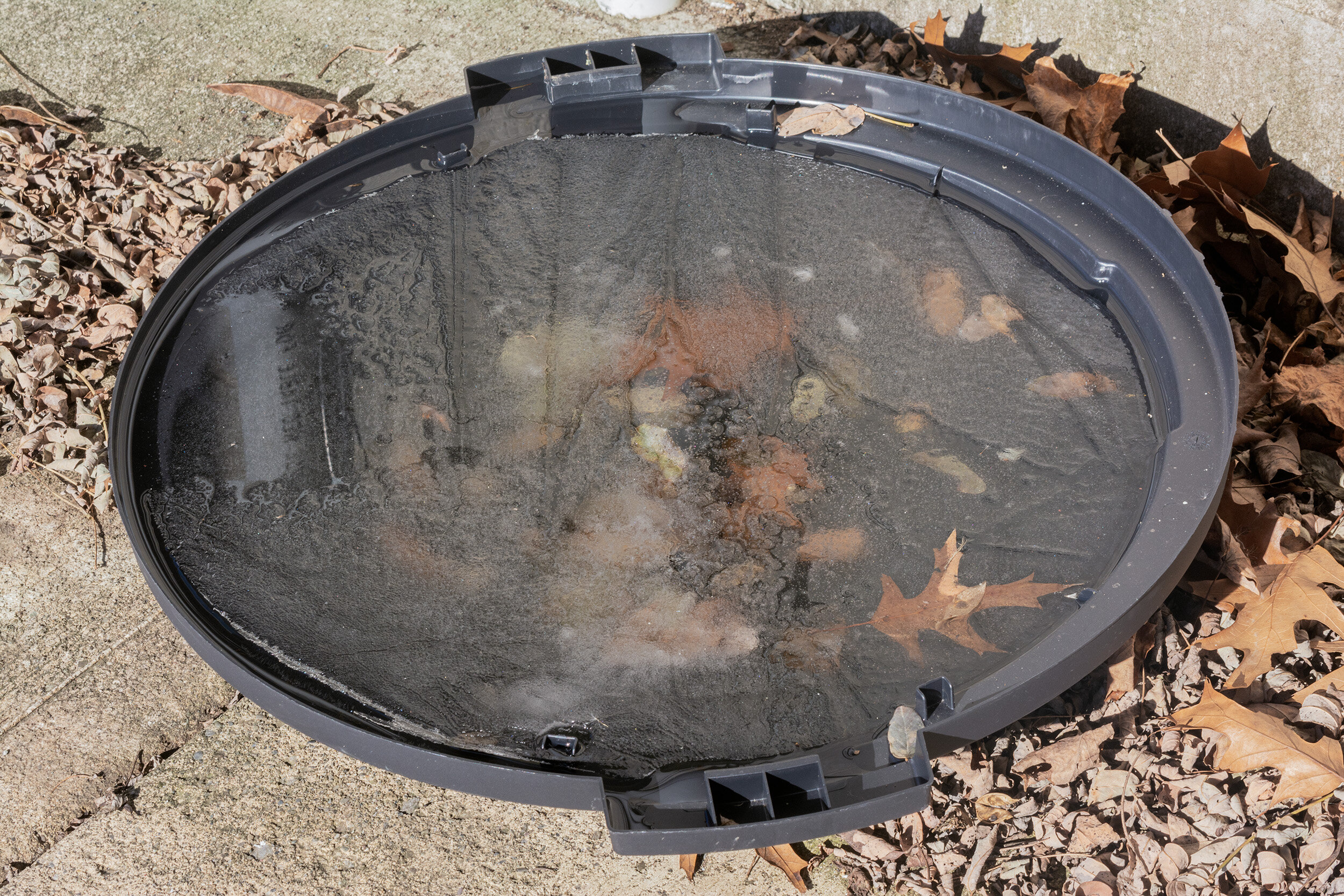 12-not cropped-DSC_0121 copy.jpg