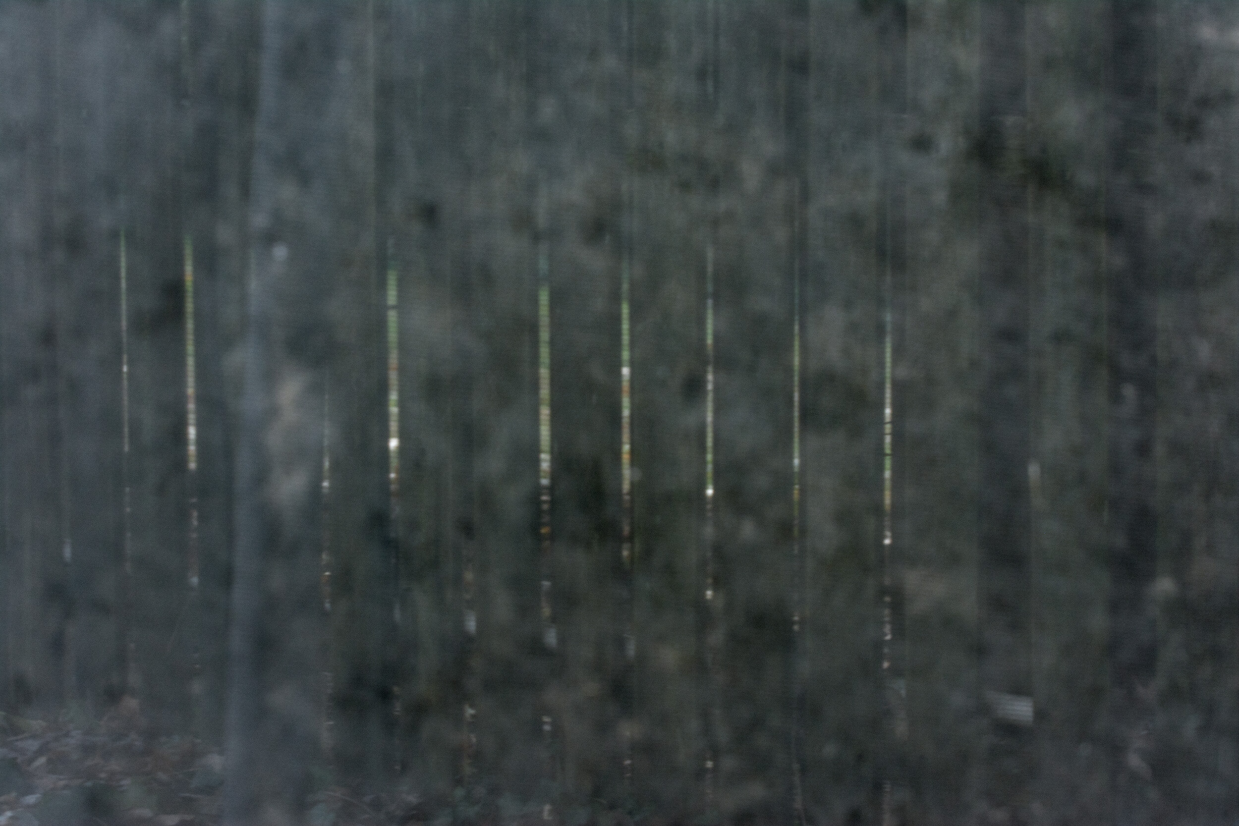 15-not cropped-DSC_0162 copy.jpg