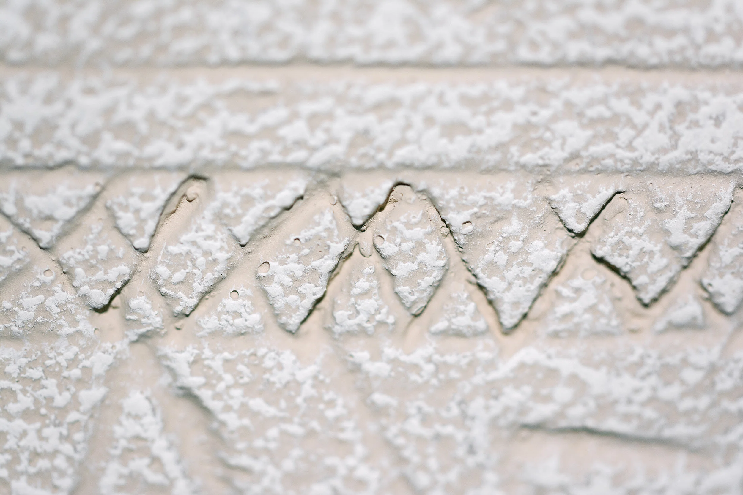 20-not cropped-1 copy.jpg