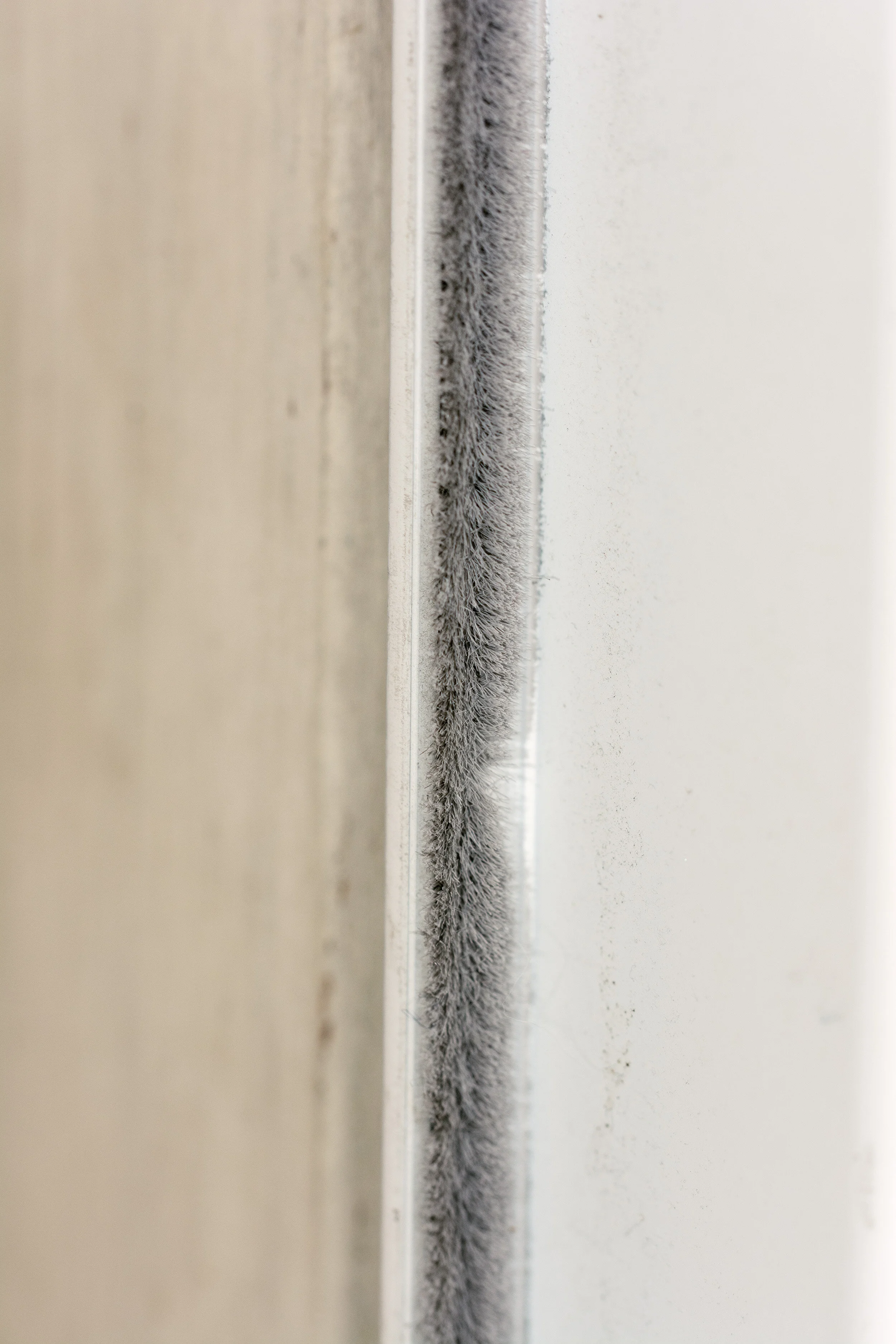 21-vertical-not cropped-DSC_0232 copy.jpg