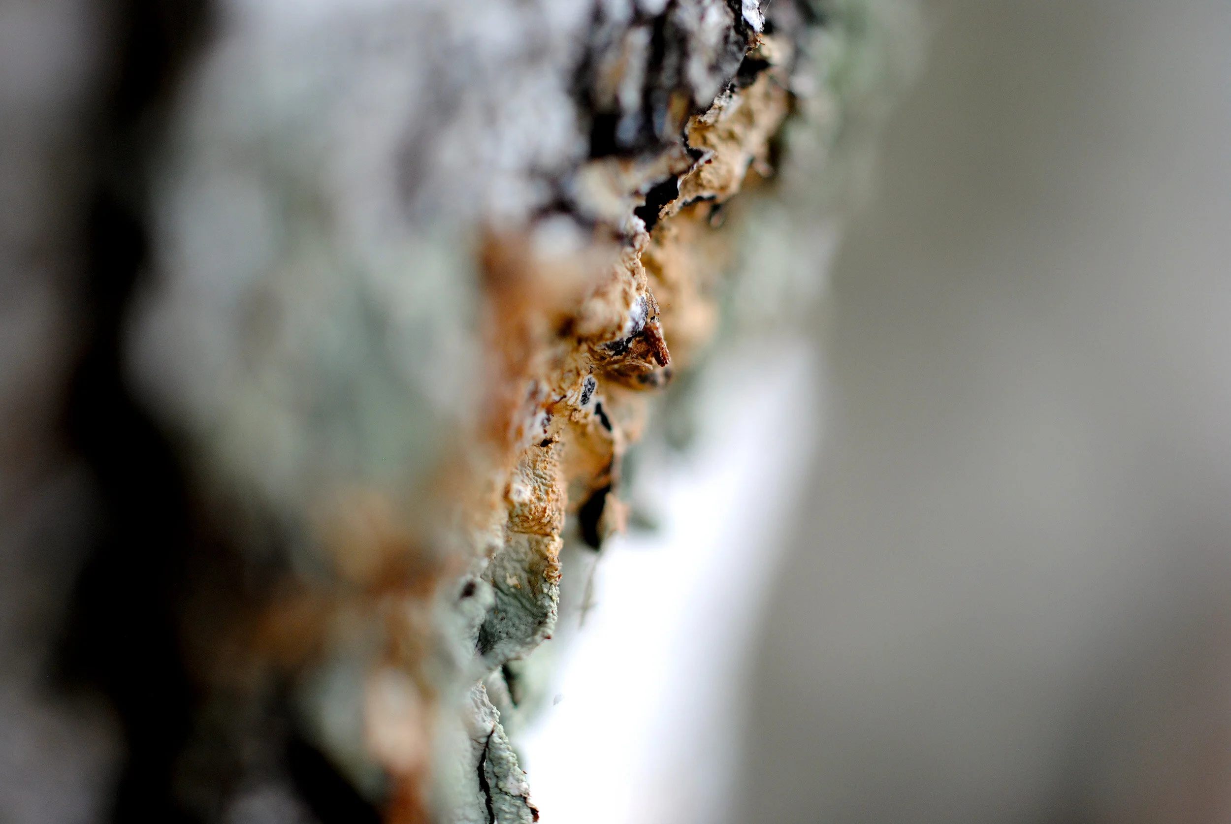 11-DSC_0027 copy.jpg