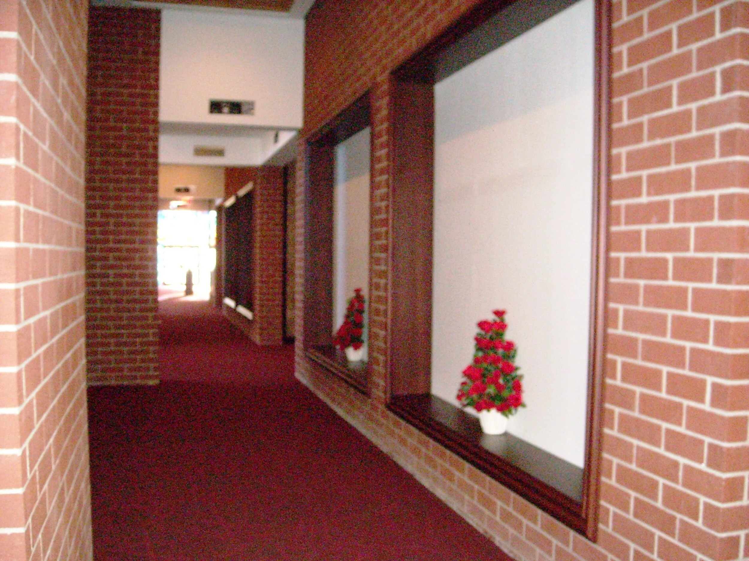 DSCN0922.JPG