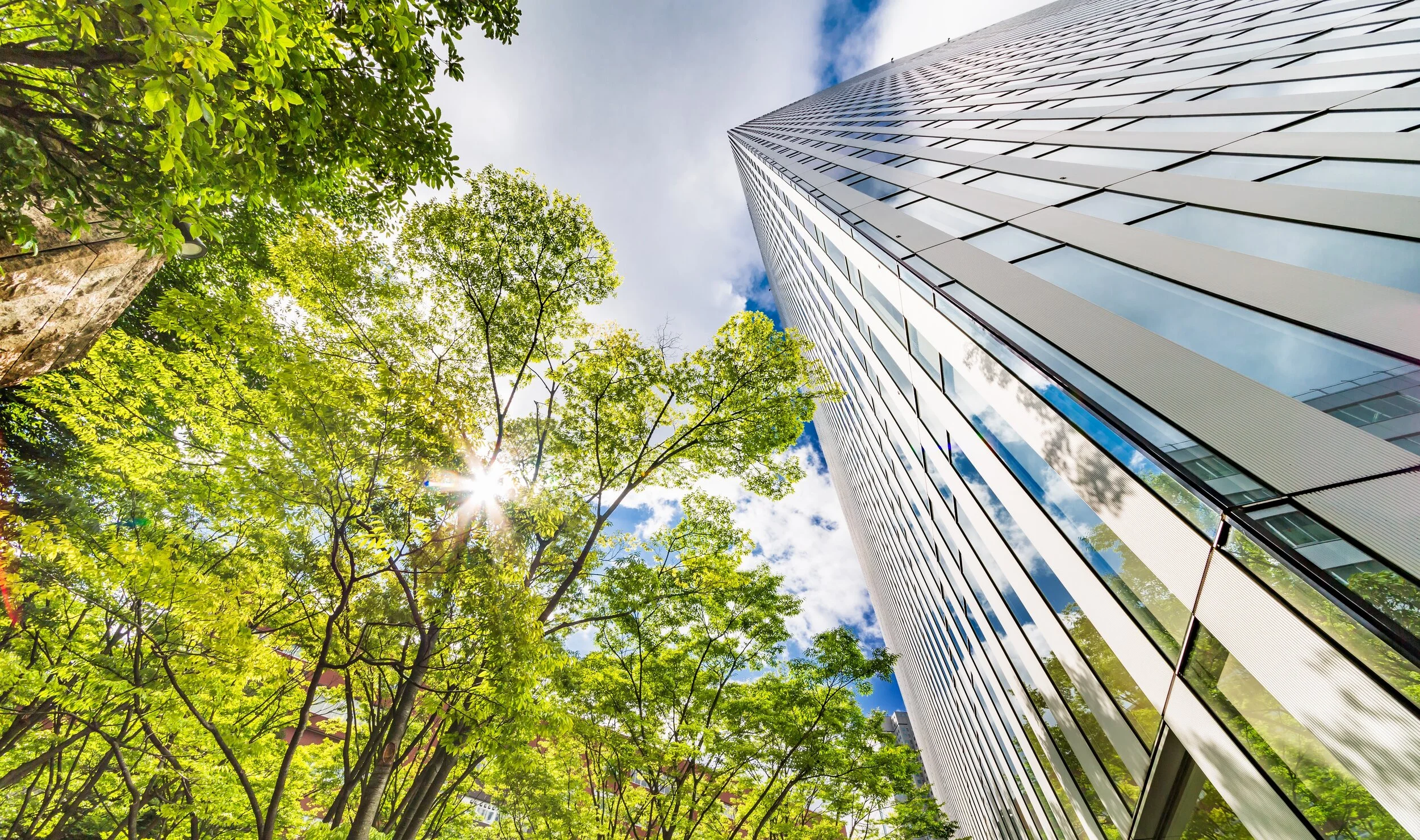 FEATURED CLIENTS - Copy.jpg