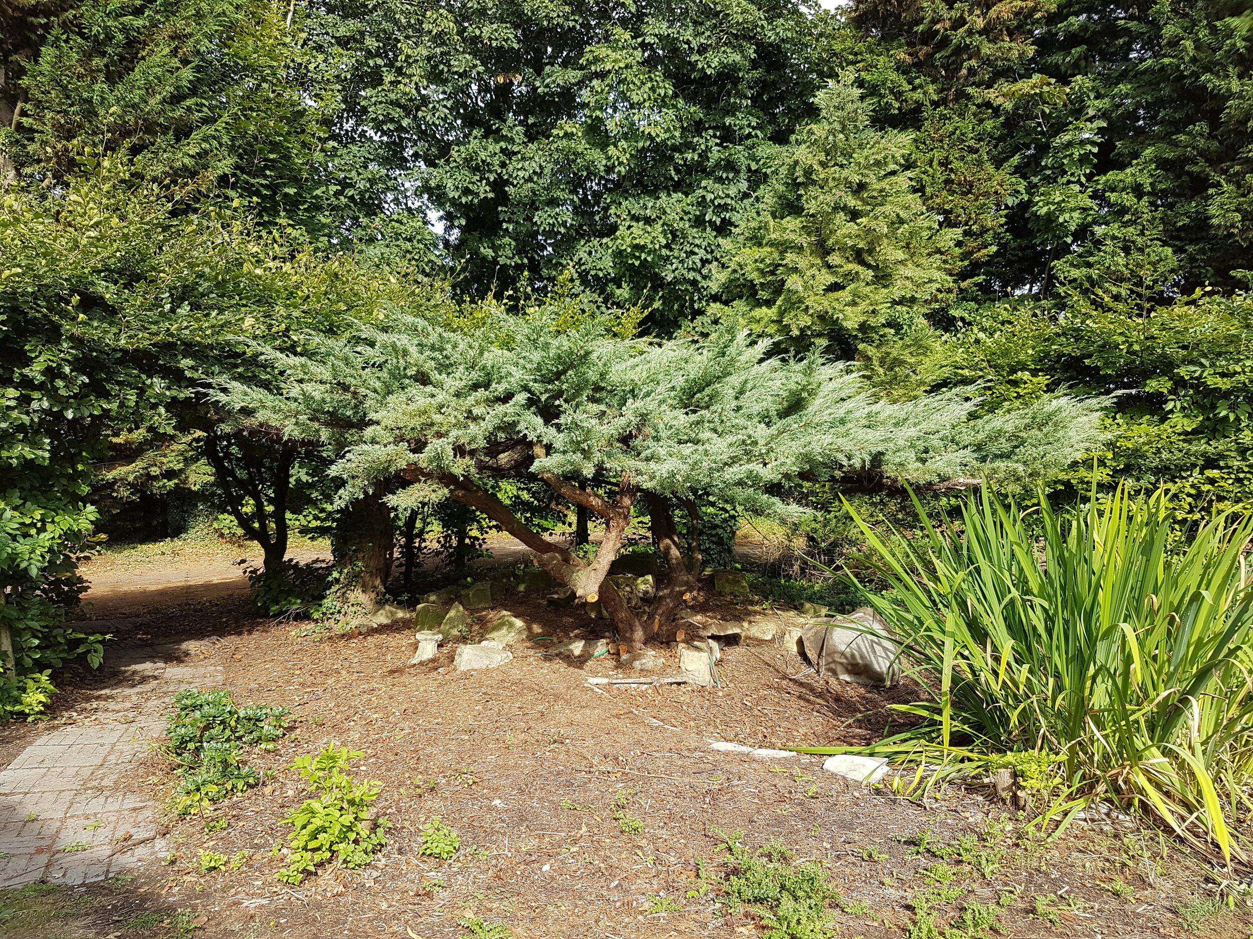 20180817_094515.jpg