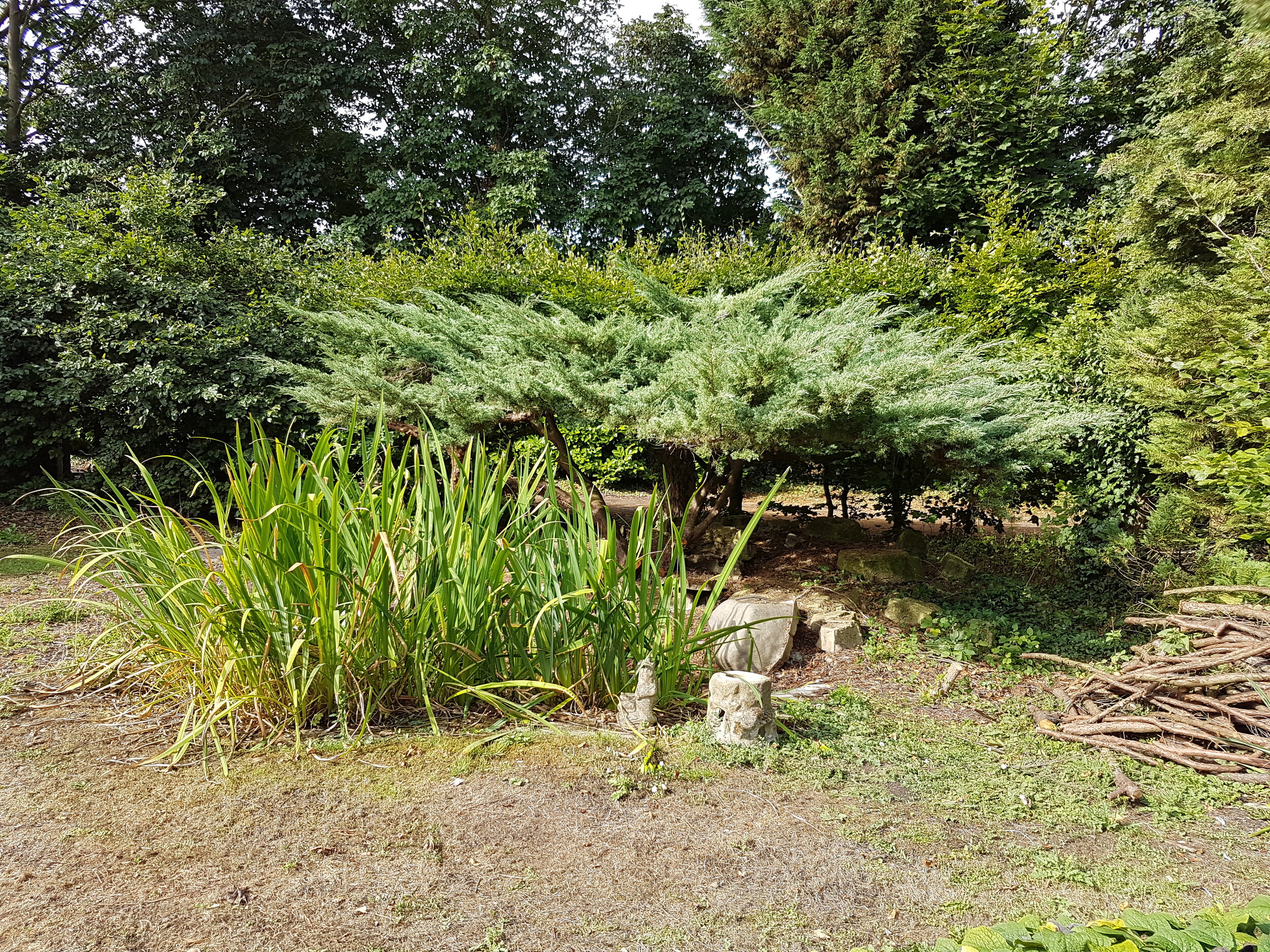 20180817_094528.jpg