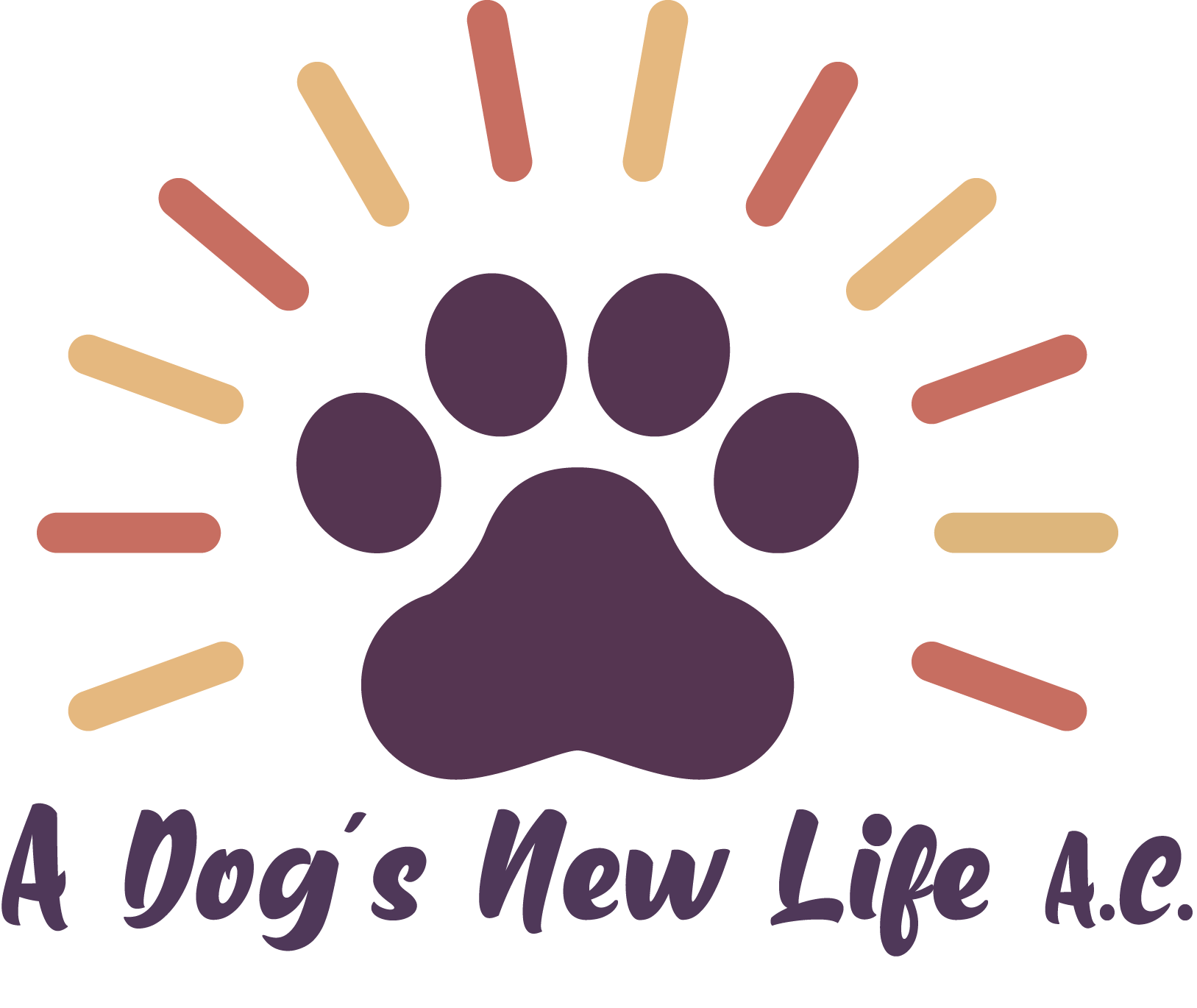 A Dog&#39;s New Life AC