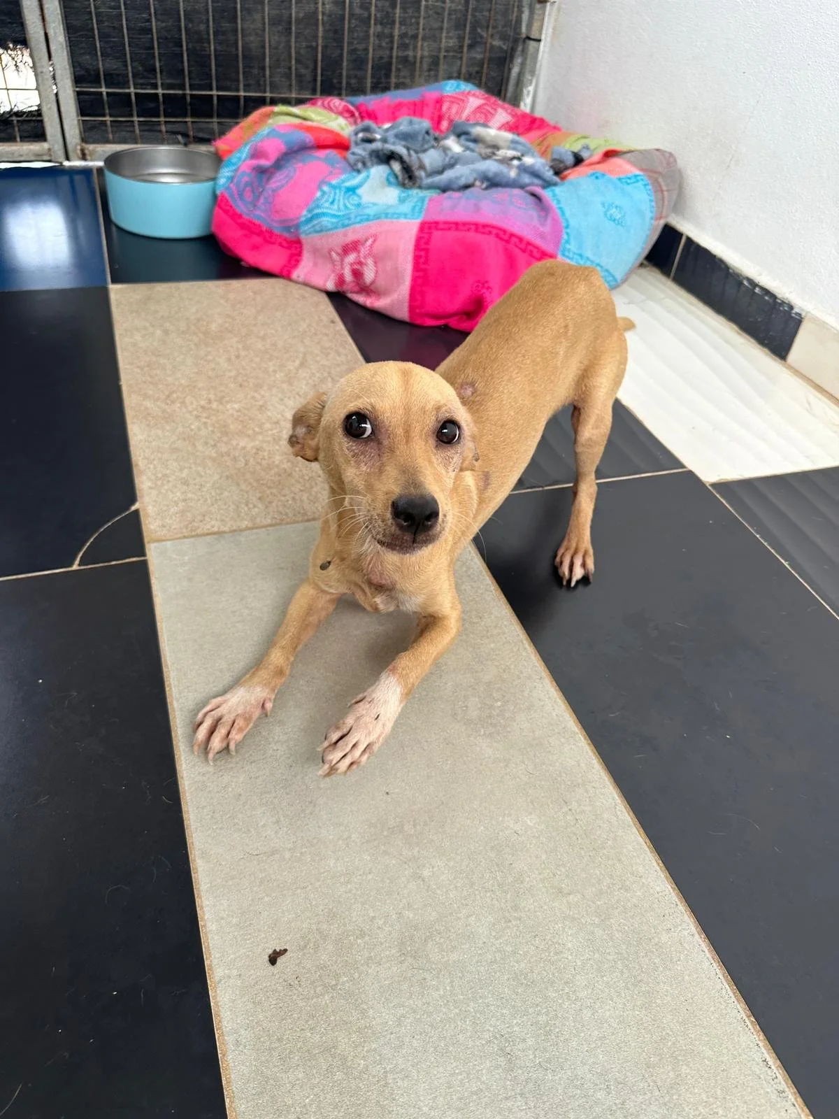 paco (13).jpg