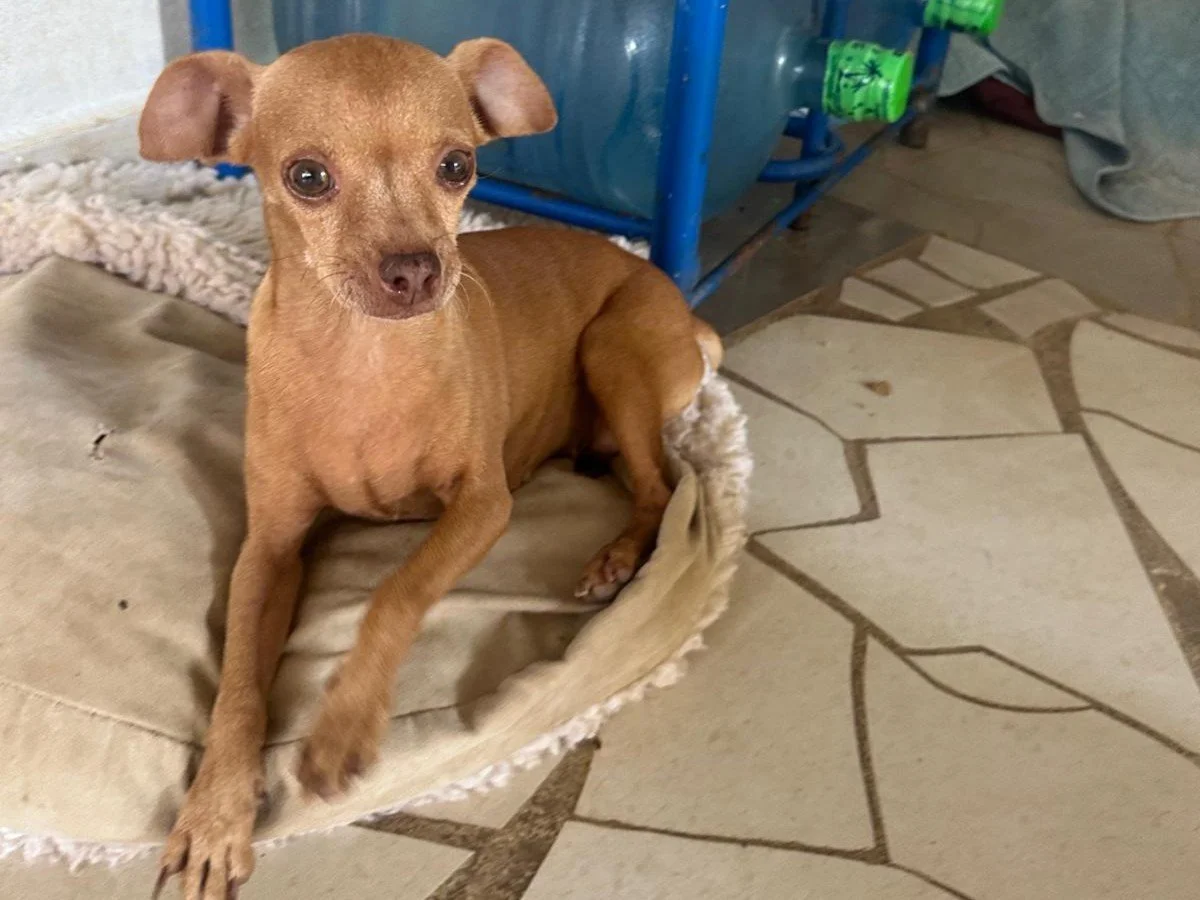 WhatsApp Image 2025-10-11 at 17.02.37_4e9de7e4x.jpg